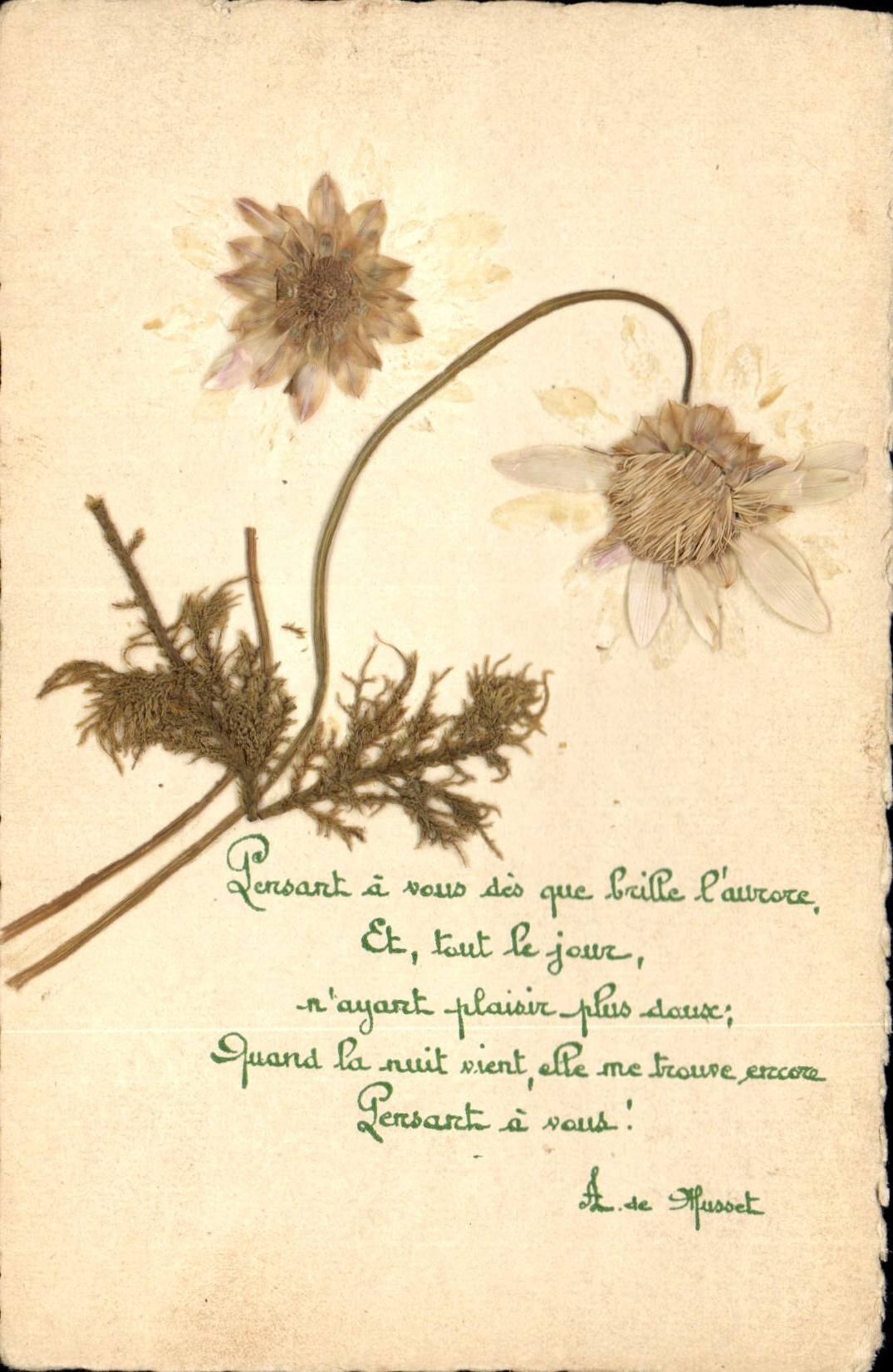 CPA Fantaisie Fleurs sechees 