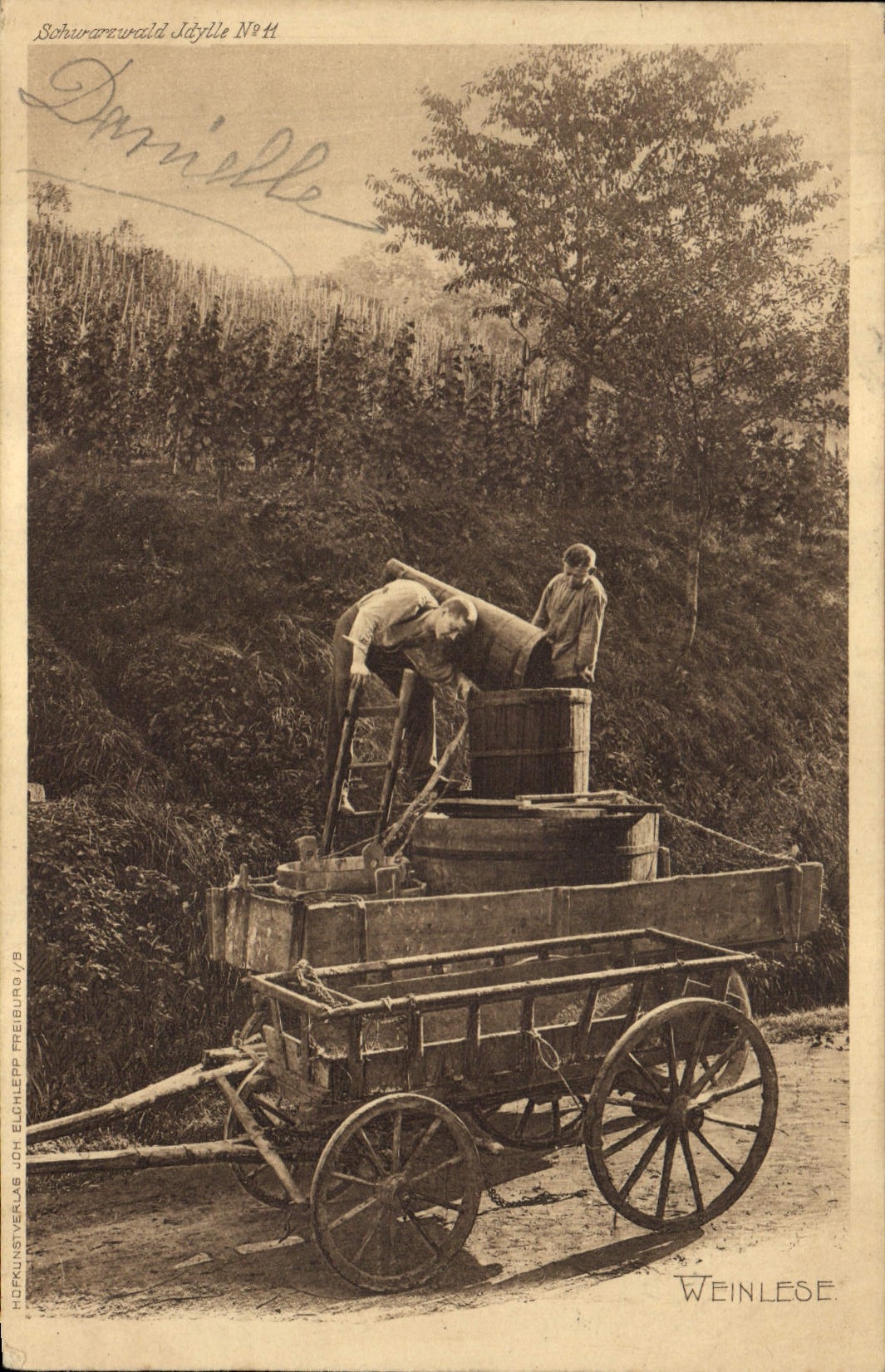 CPA Vin Vendanges Weinlese 