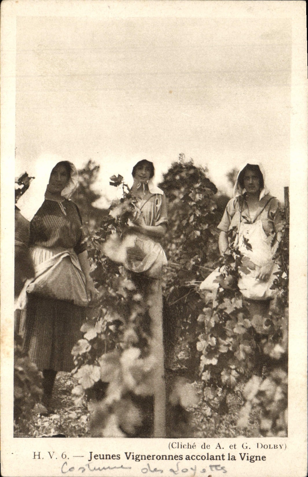 CPA Vin Vendanges Jeunes vigneronnes accolant a la vigne