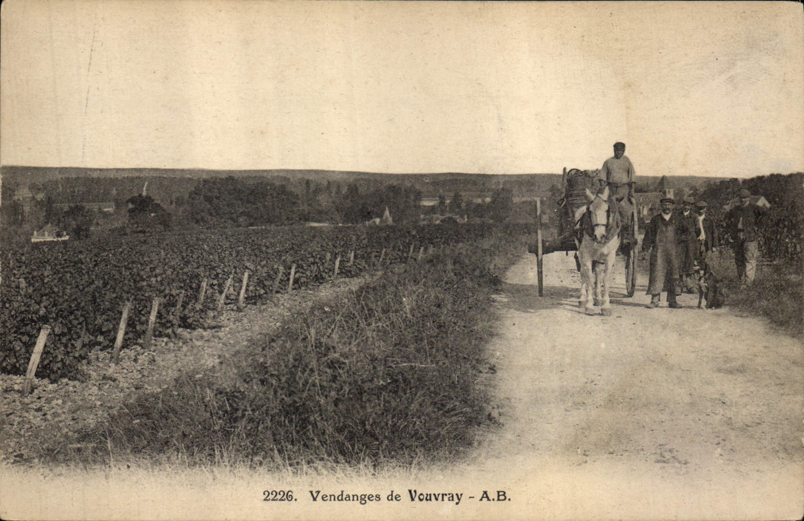 CPA Vin Vendanges de Vouvray 