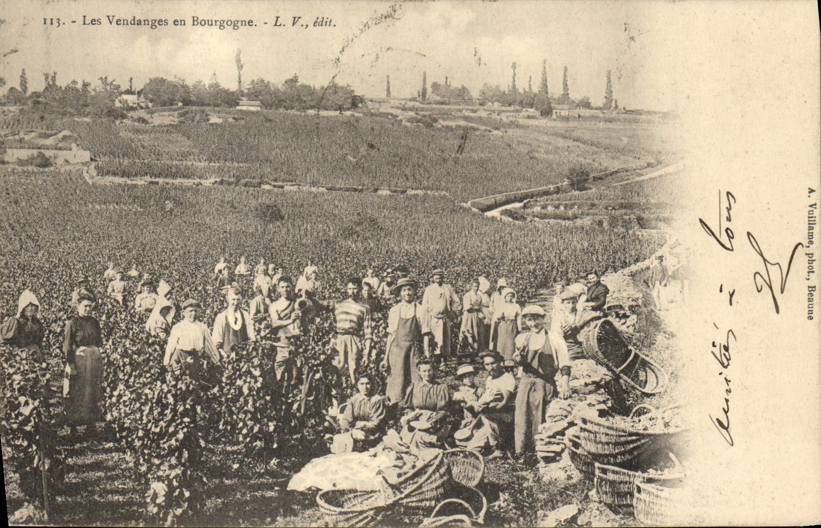 CPA Vin Vendanges en Bourgogne 
