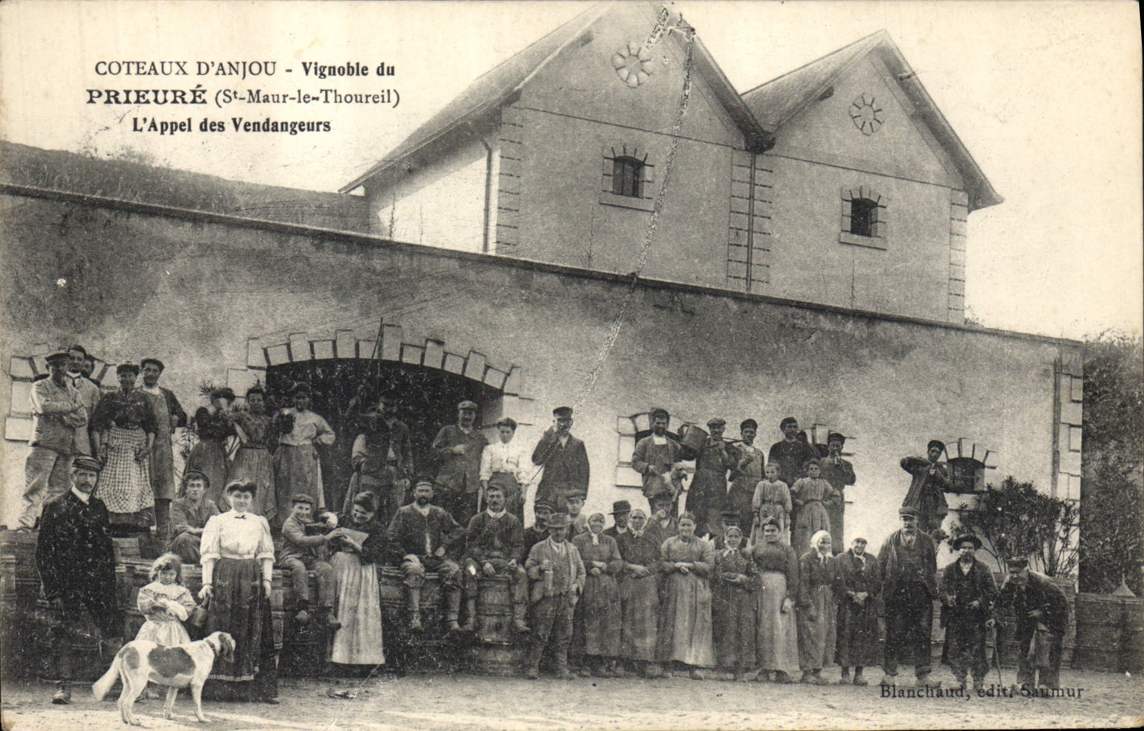 Postal Vino Vendimias Laderas de Anjou Viñedo del Priorato St maur el Thoreuil la llamada de los vendimiadores CUMBRE