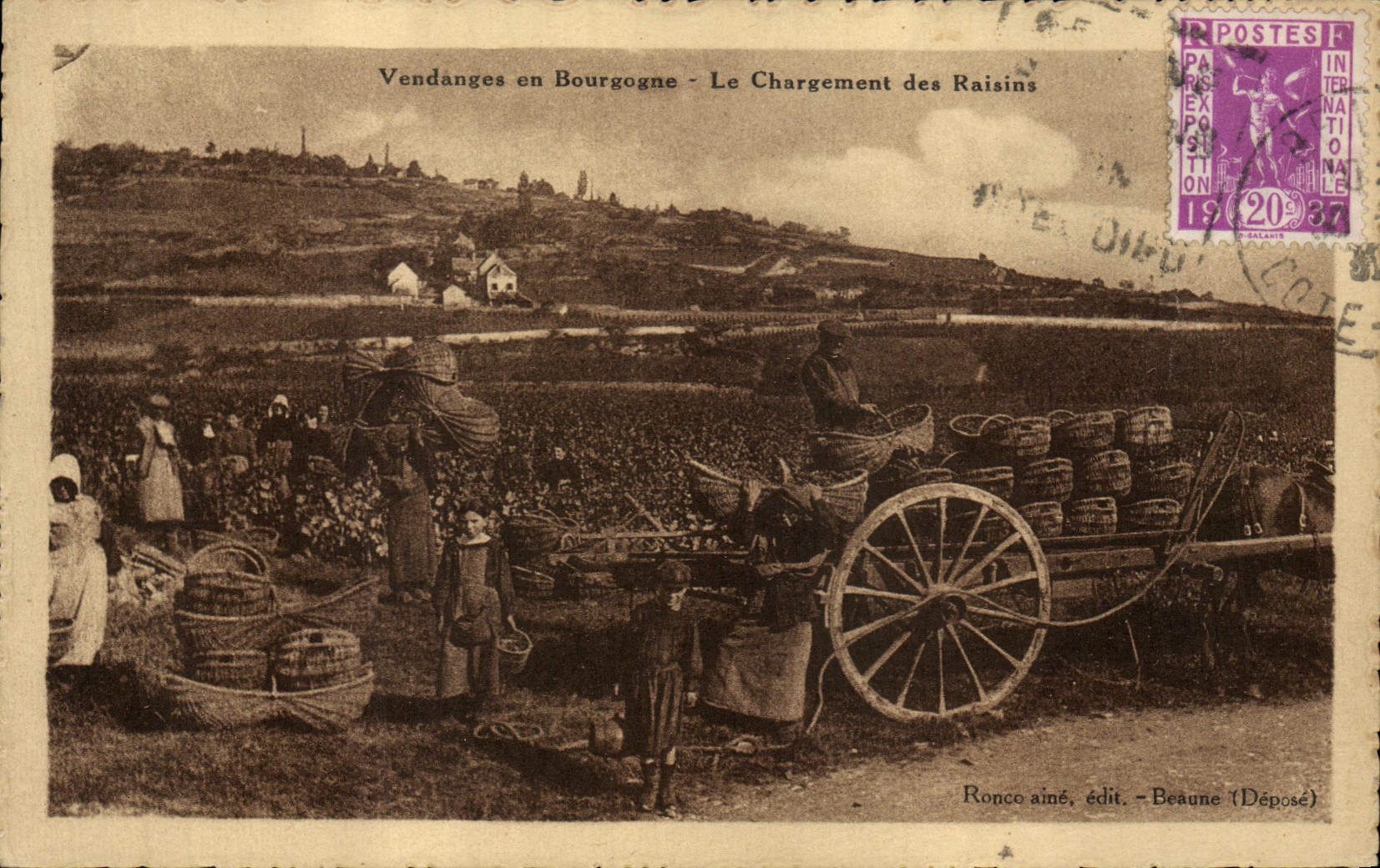 CPA Vin Vendanges en Bourgogne Le chargement des raisins