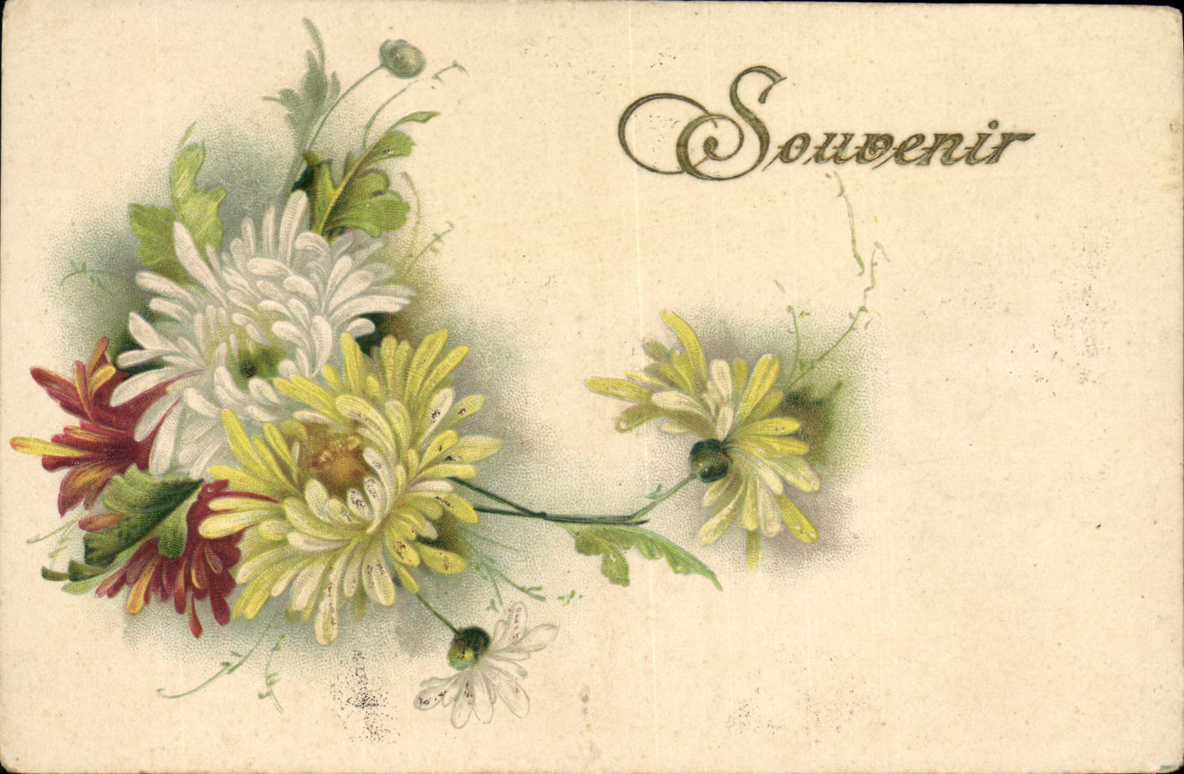 CPA Fantaisie Fleurs 