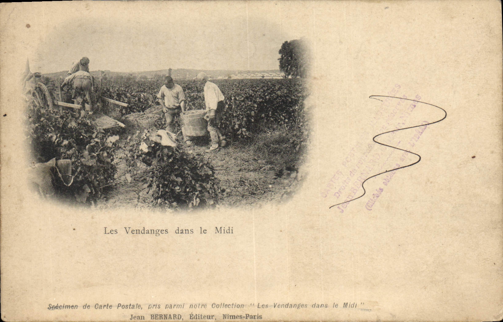 CPA Folklore Vin Vendanges dans le Midi