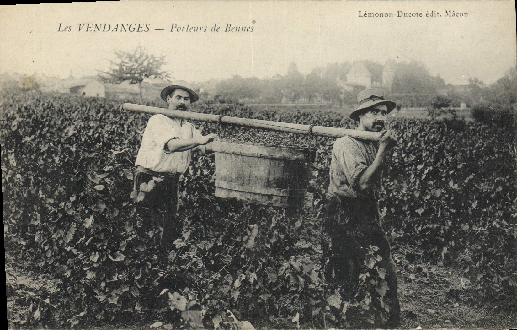 CPA Folklore Vin Vendanges Porteurs de bennes