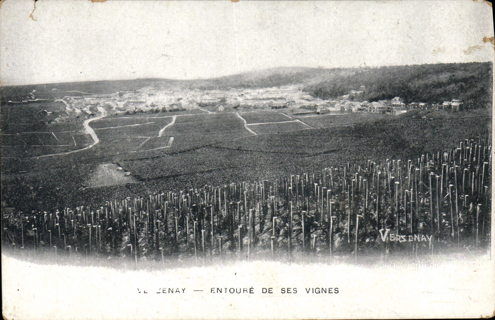 CPA Folklore Vin Vendanges Vezenay Entoure de ses vignes