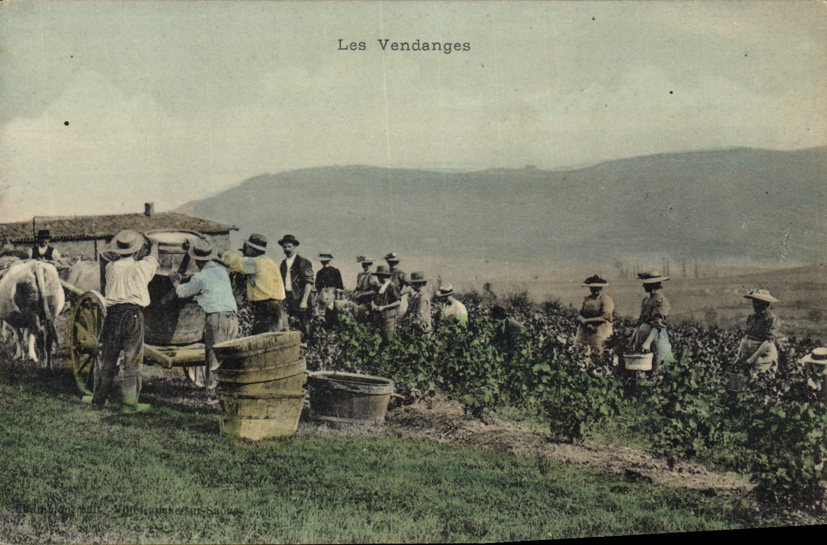 CPA Folklore Vin Vendanges 