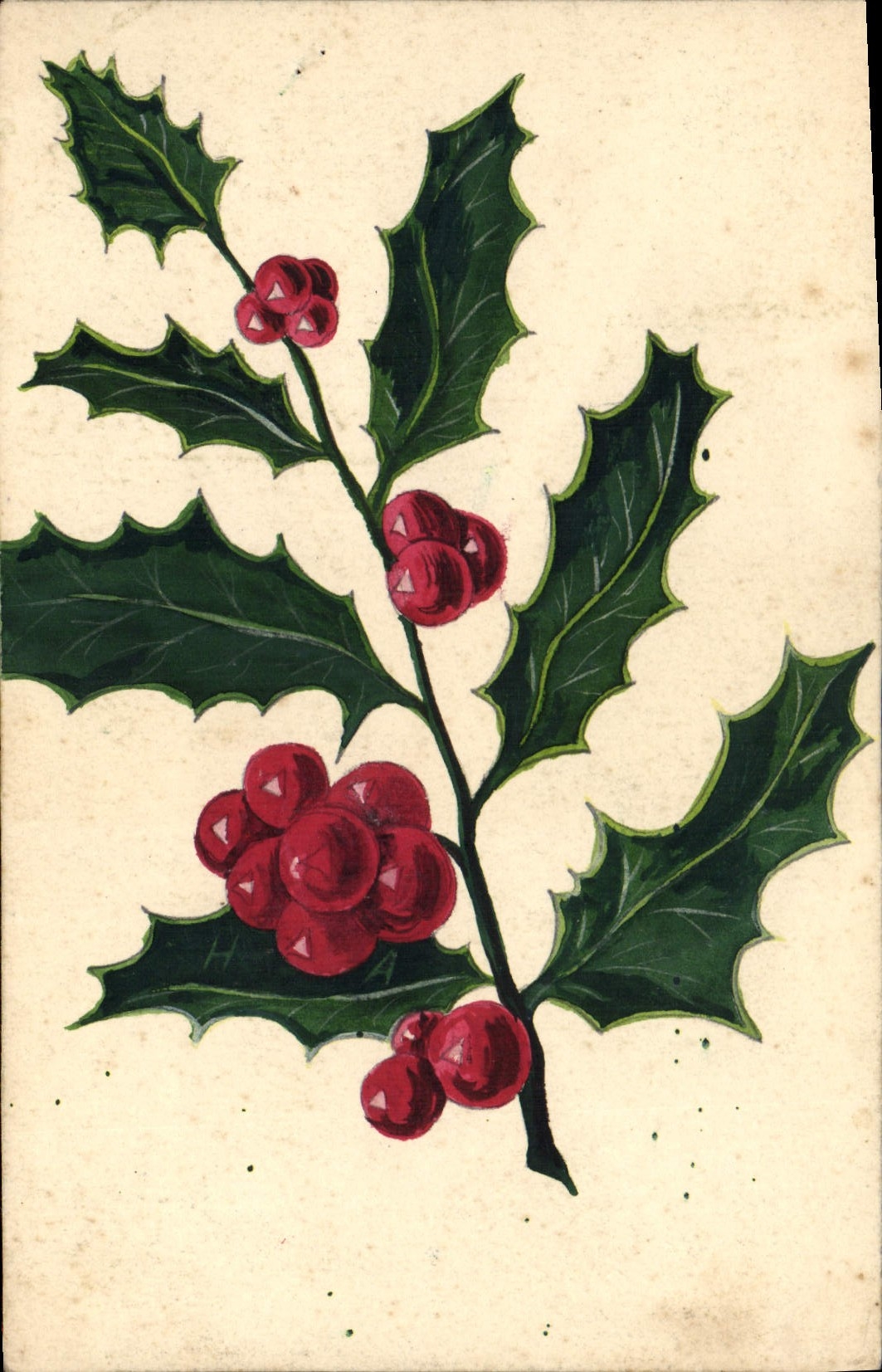 CPA Fantaisie (dessin a la main) Houx