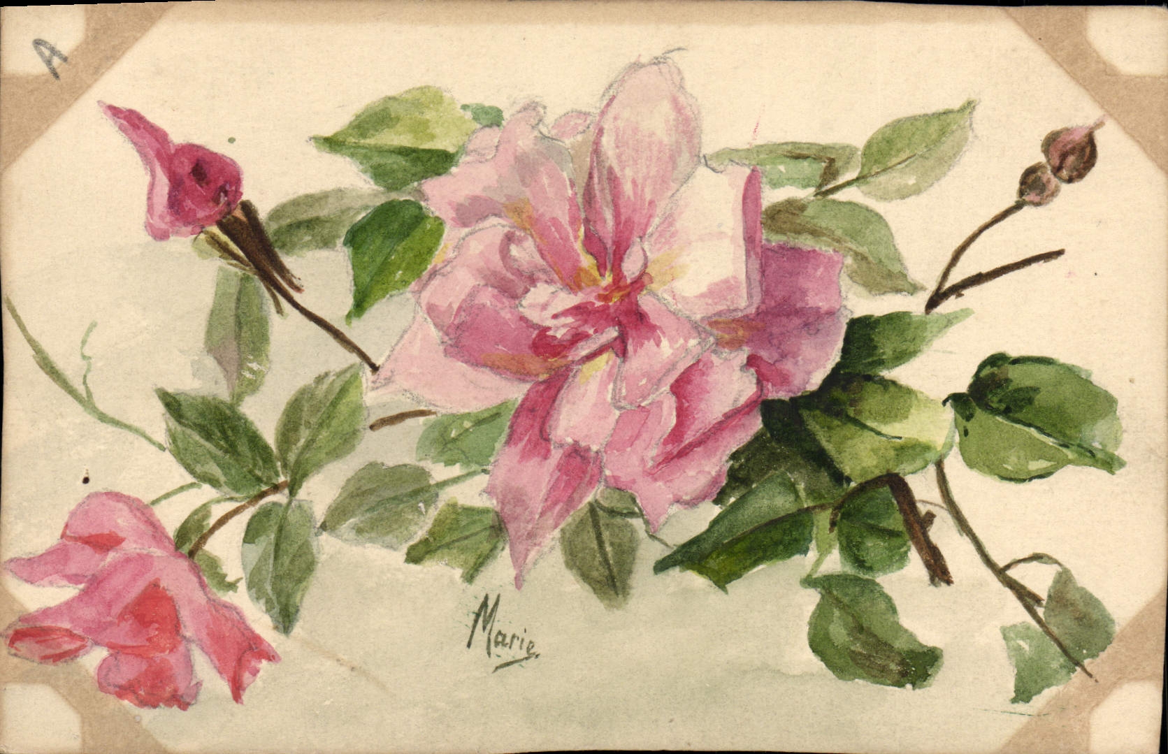 CPA Fantaisie (dessin a la main) Fleurs