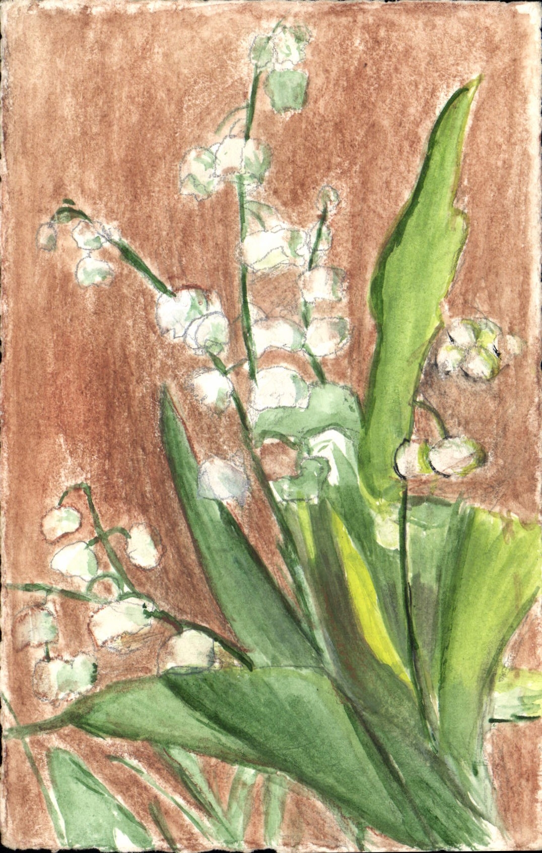 CPA Fantaisie (dessin a la main) Fleurs Muguet