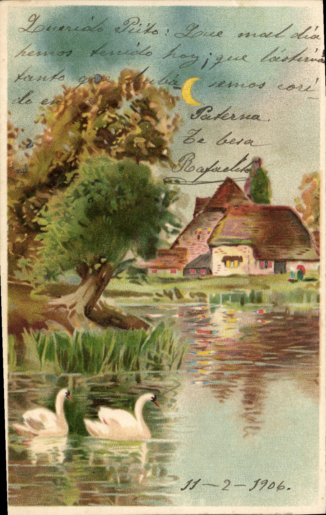 CPA Carte transparente Cygnes Maisons