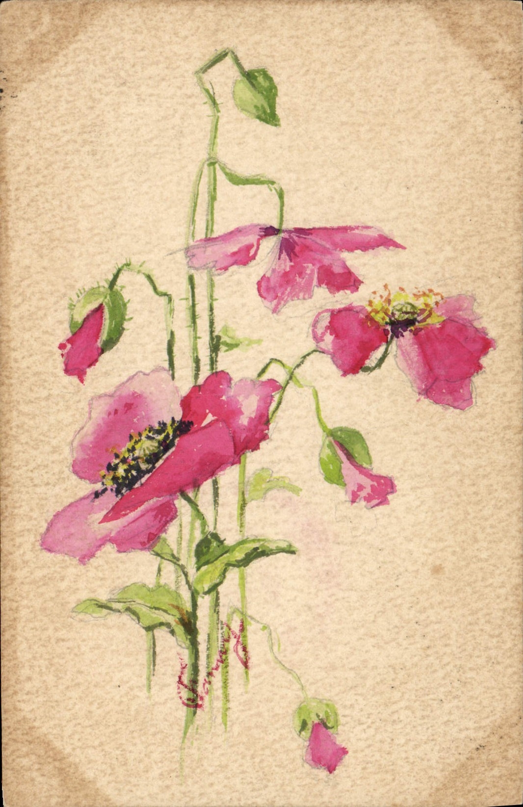 CPA Fantaisie Fleurs (dessin a la main)