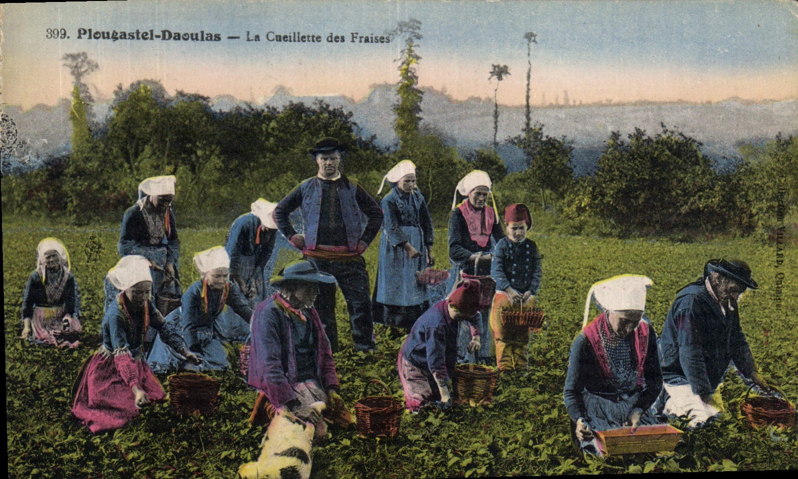 CPA Folklore Plougastel Daoulas La cueillette des fraises