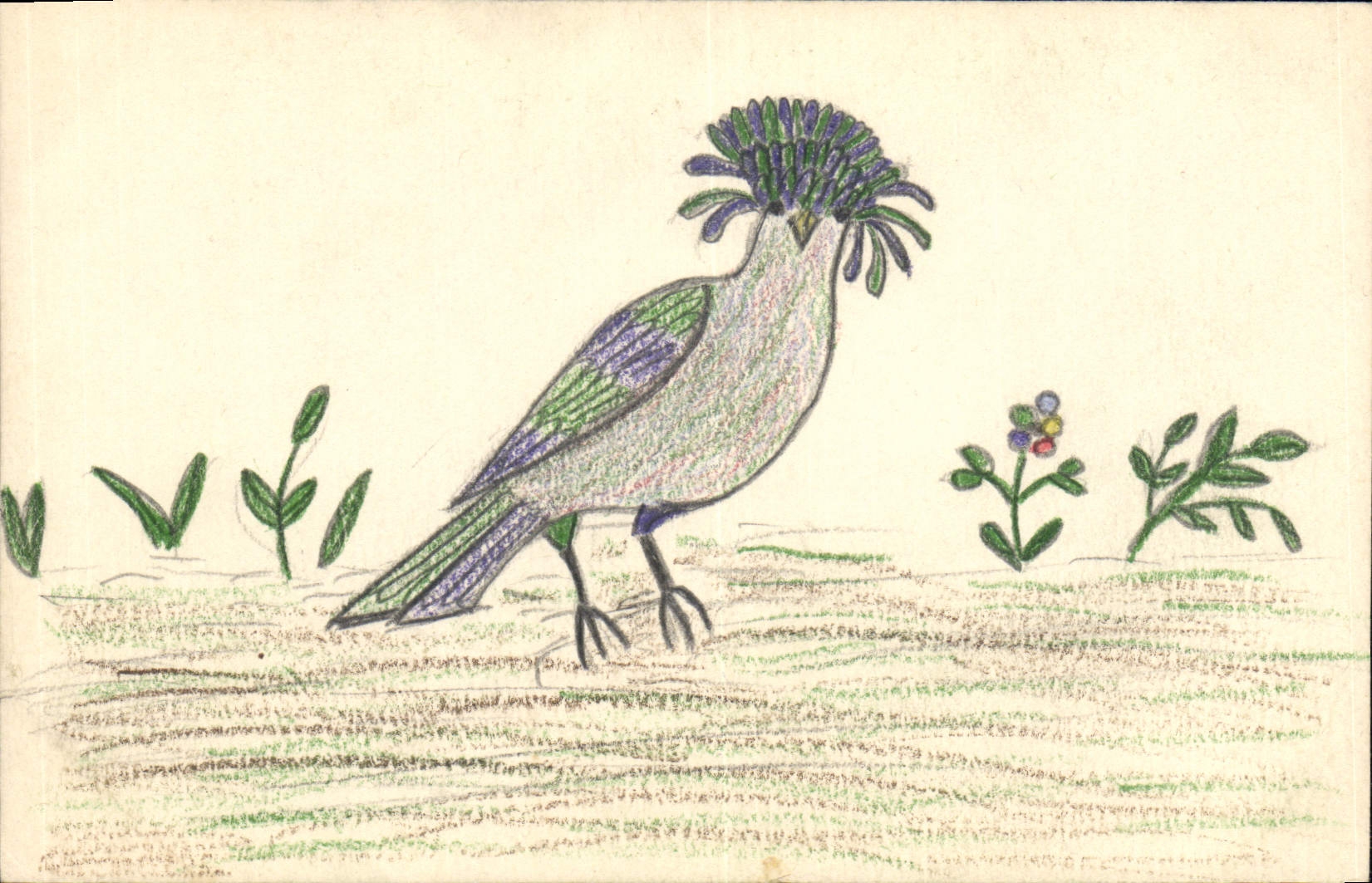 CPA Fantaisie (dessin a la main) Oiseau