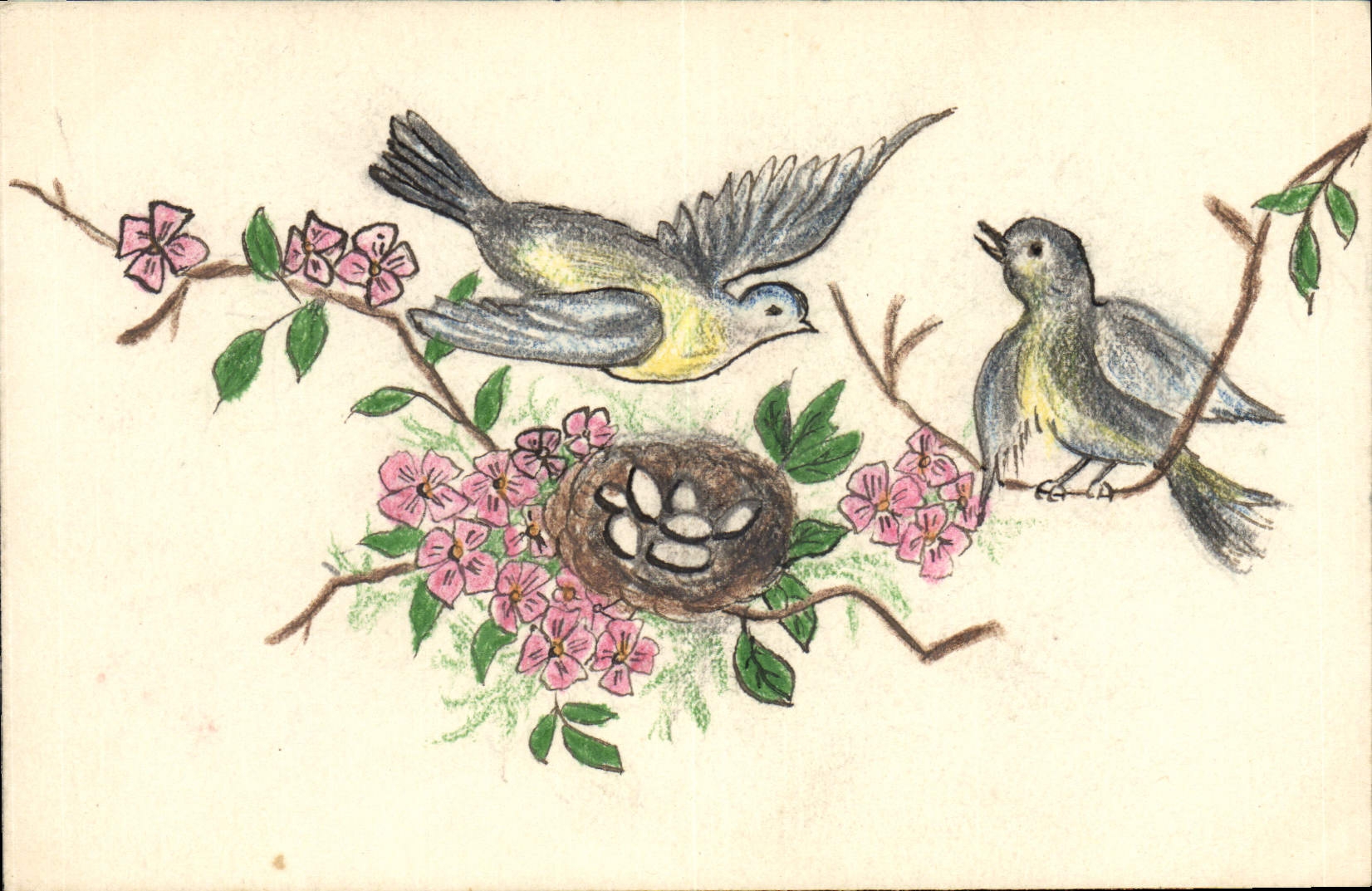 Vintage Postcard Fantasy (drawing has the hand) Birds