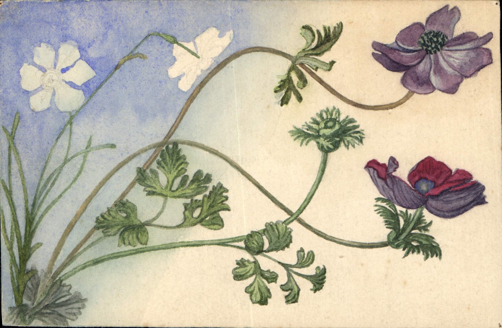 CPA Fantaisie (dessin a la main) Fleurs