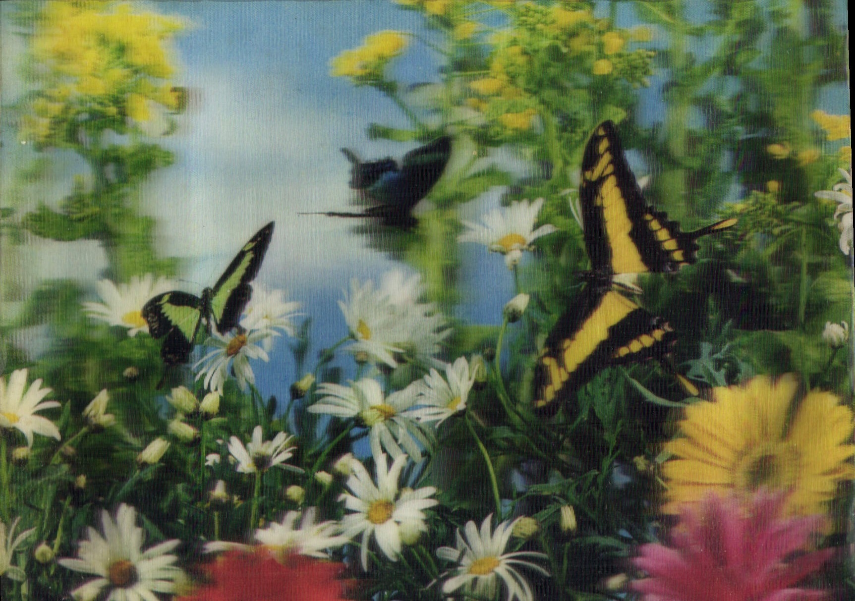 CPM Fantaisie Papillons (décor en relief)