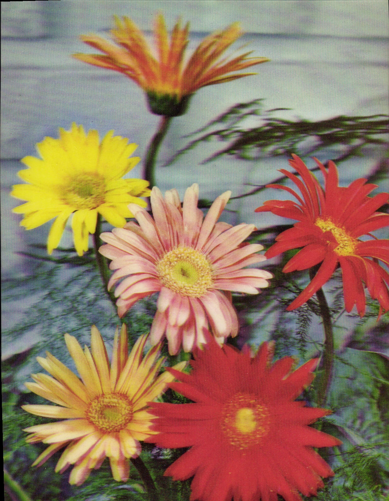 CPM Fantaisie Fleurs (décor en relief)