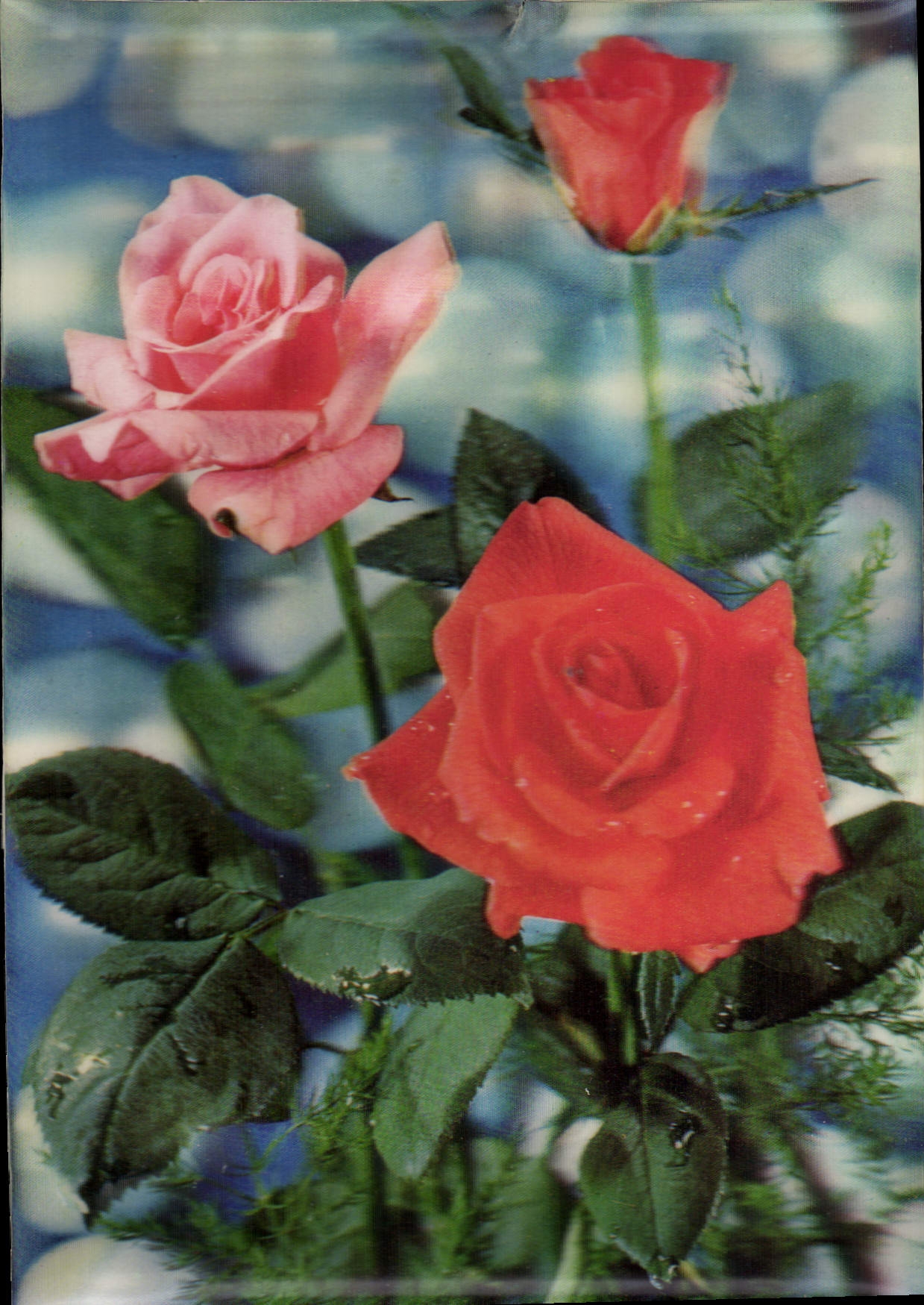 CPM Fantaisie Fleurs (décor en relief)