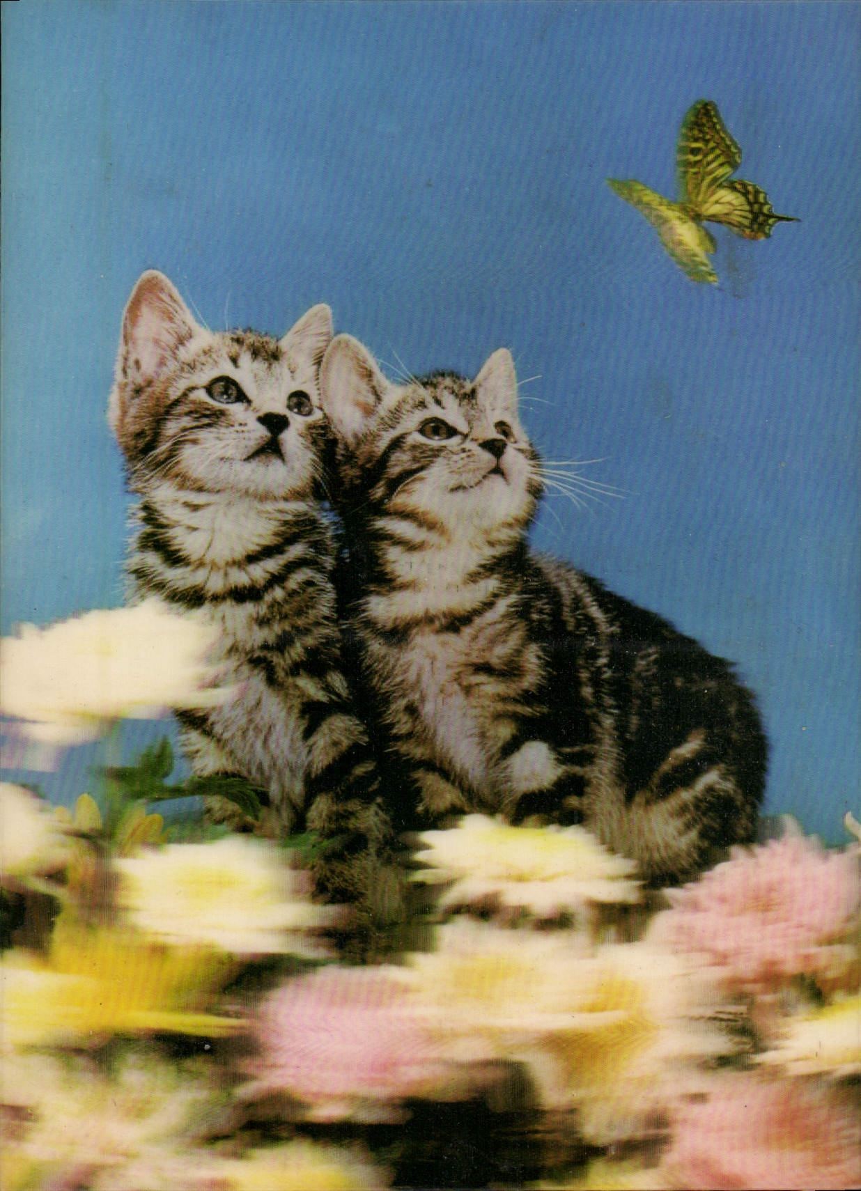 CPM Fantaisie Chats Chatons Papillon (décor en relief)