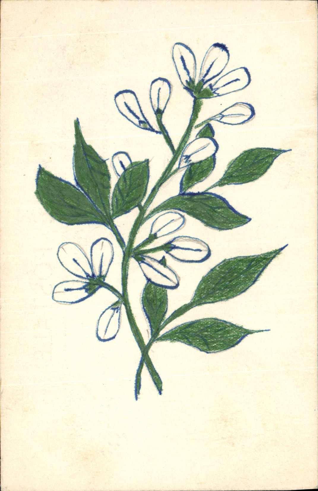 CPA Fantaisie (dessin a la main) Fleurs 