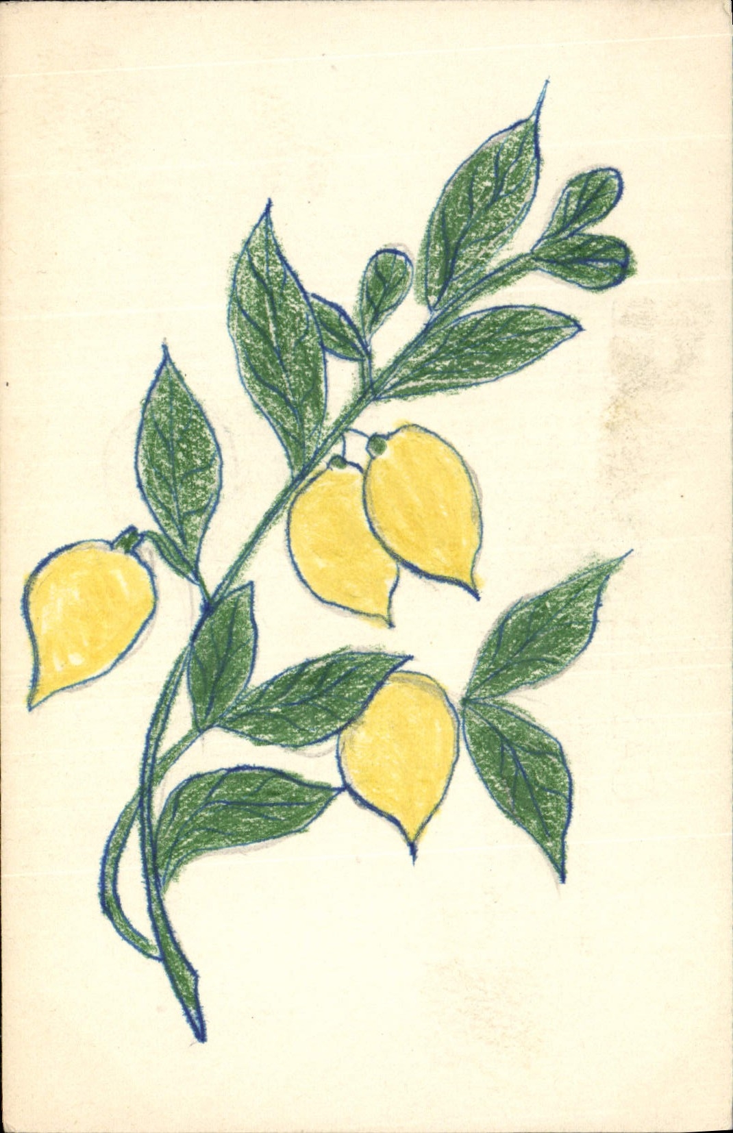 CPA Fantaisie (dessin a la main) Citrons 