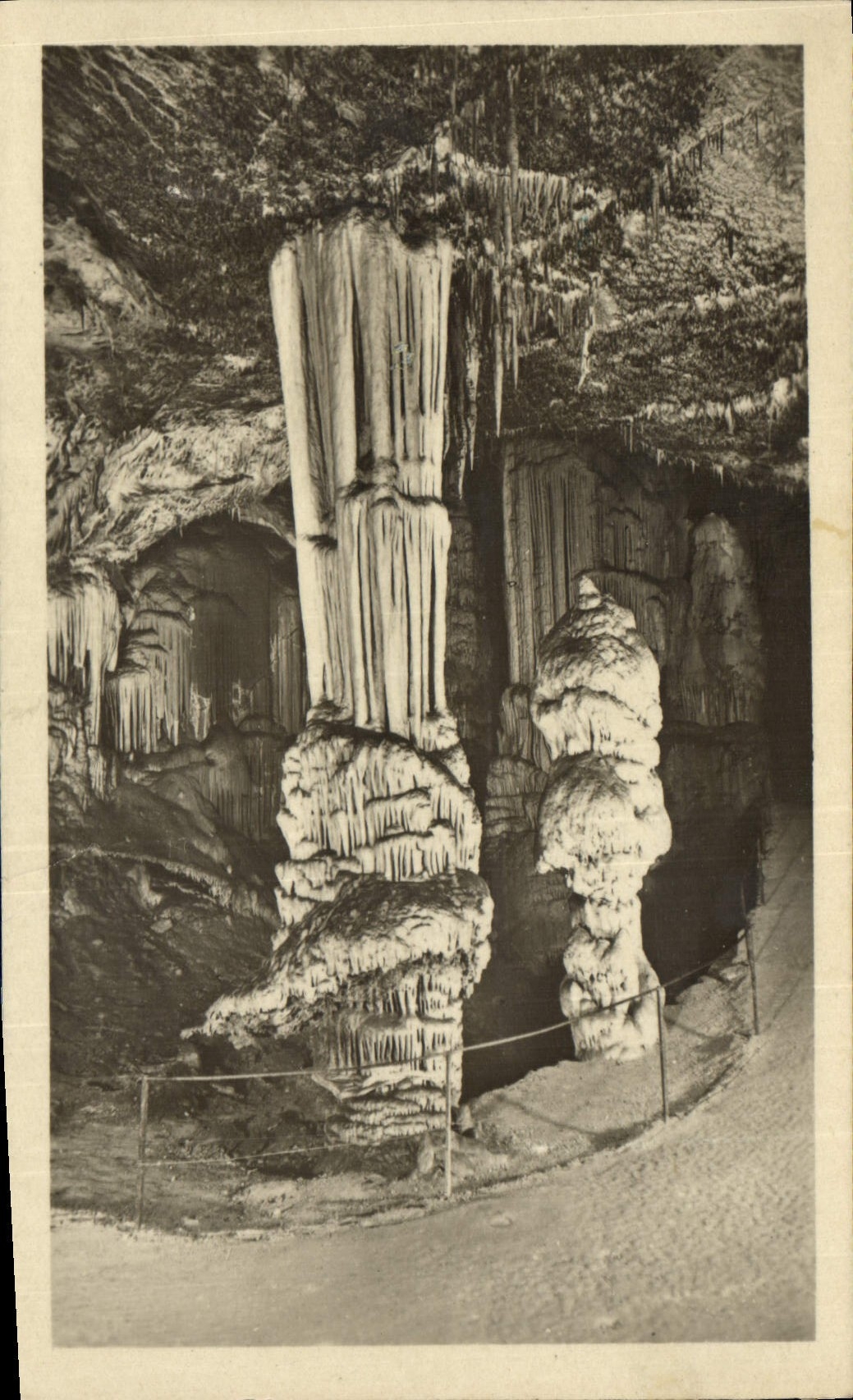 Postal Gruta Grutas Postojnska Jama