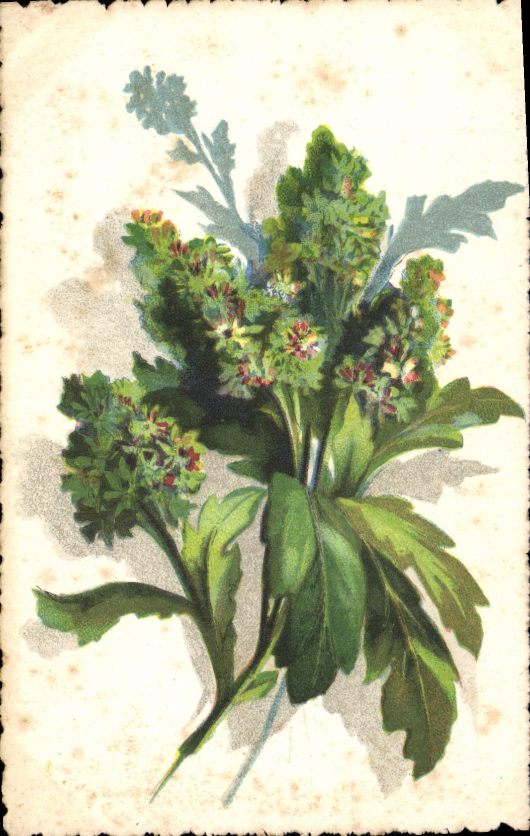 CPA Fantaisie Fleurs 