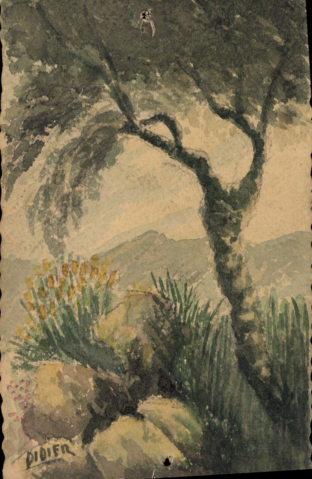 CPA Fantaisie (dessin a la main) Arbre