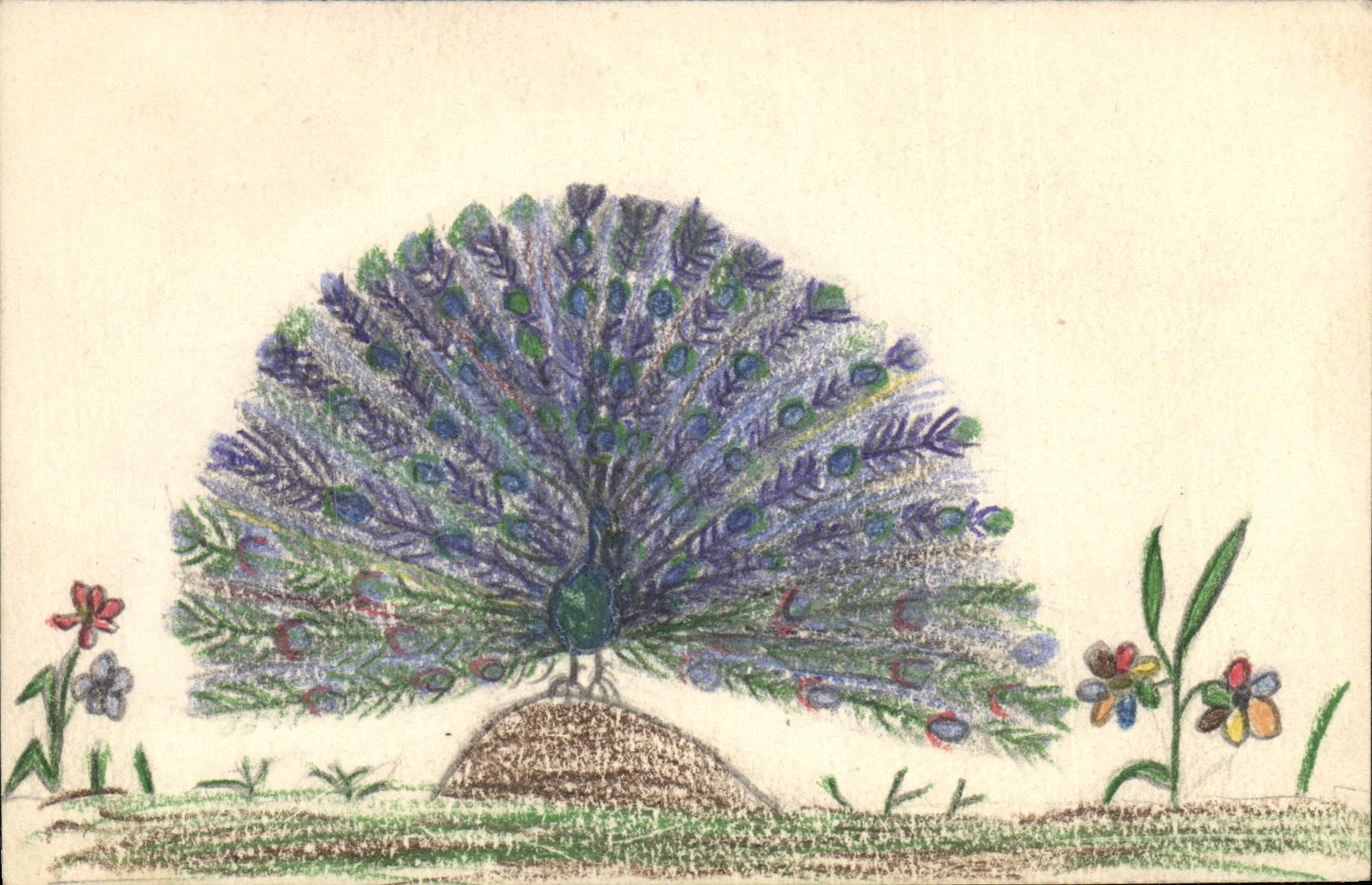 CPA Fantaisie (dessin a la main) Oiseau Paon