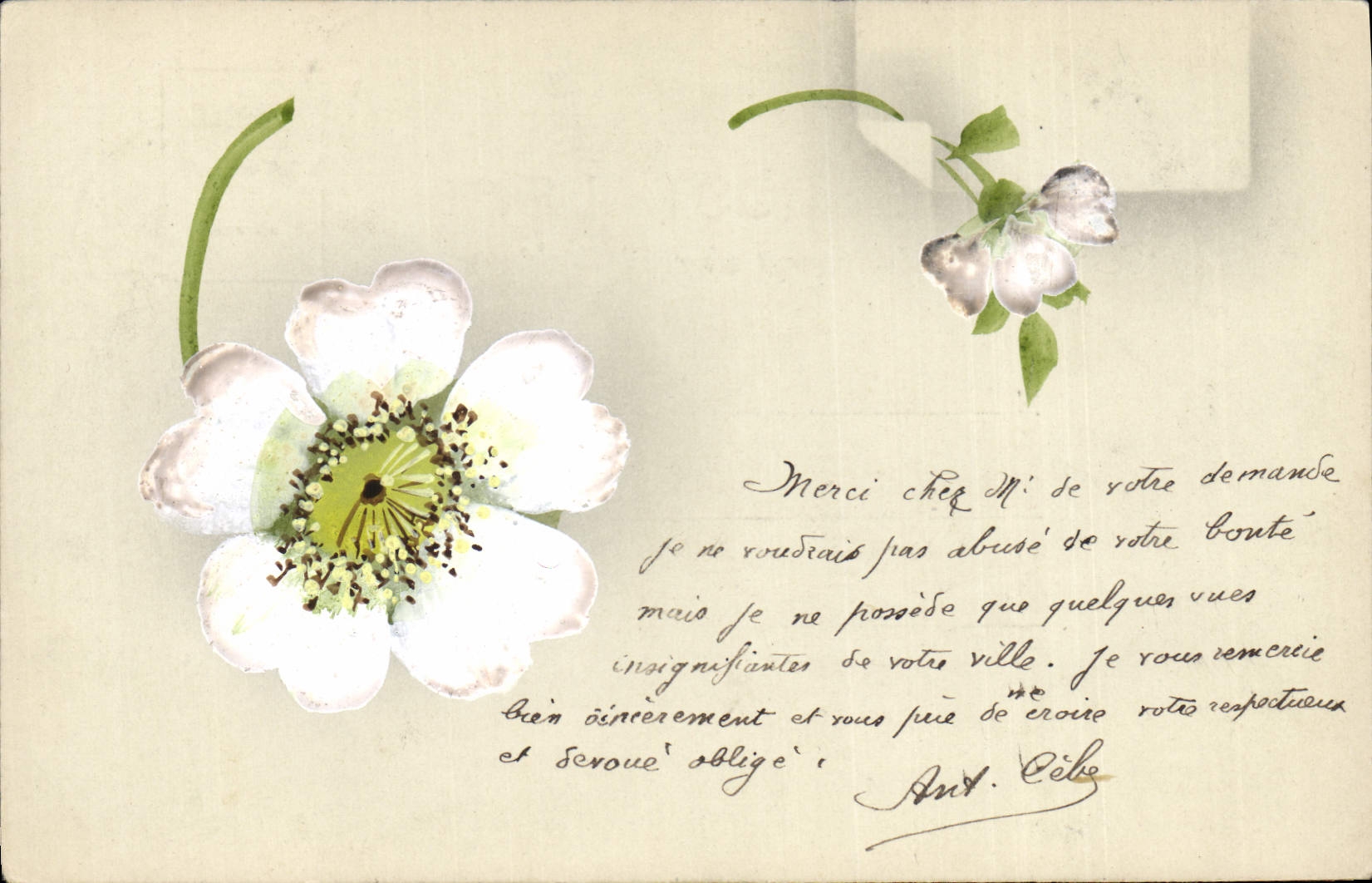 CPA Fantaisie (dessin a la main) Fleurs