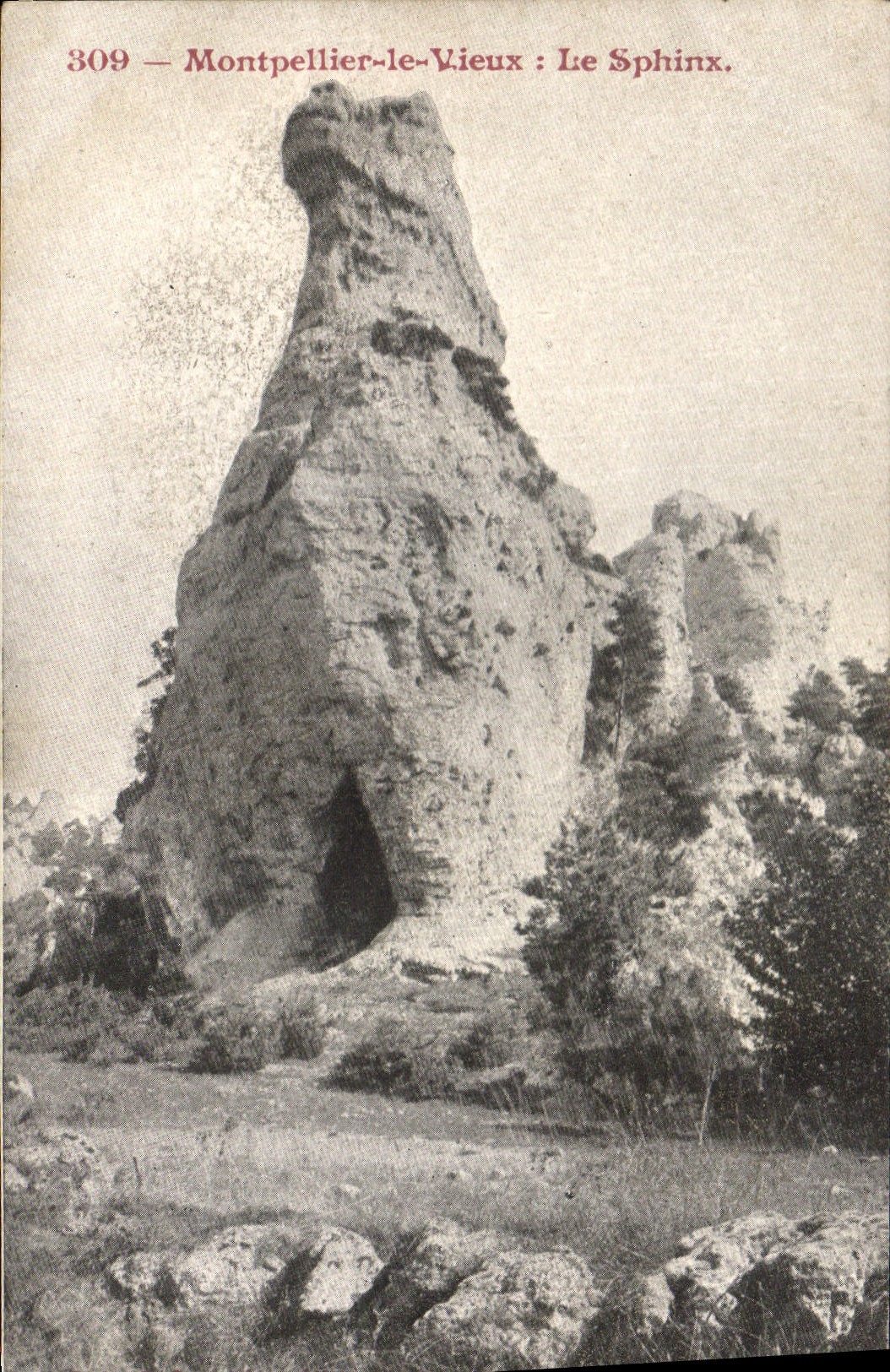 Vintage Postcard Cave Montpellier Caves the Old man the sphinx