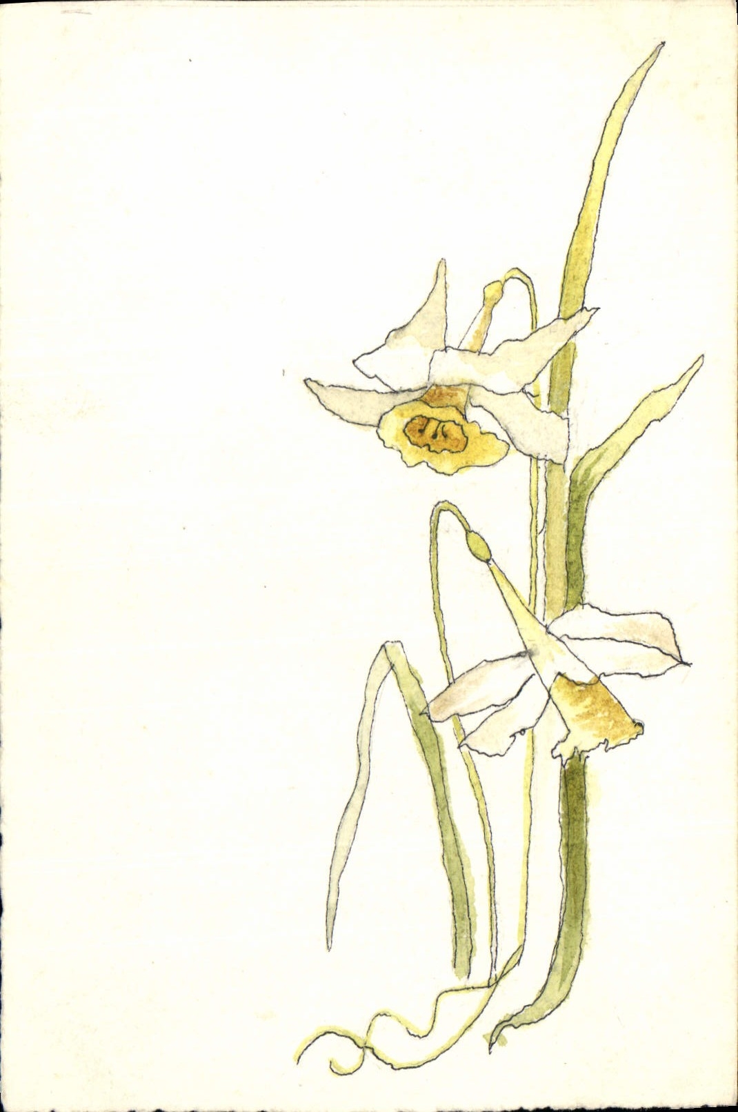 CPA Fantaisie (dessin a la main) Fleurs 