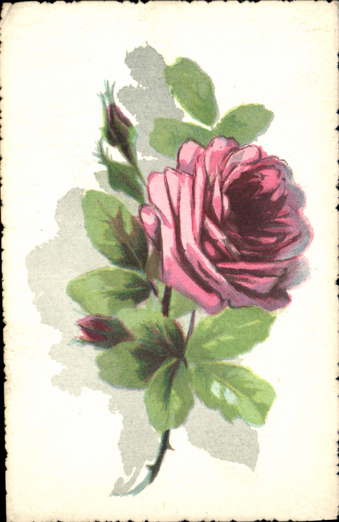 CPA Fantaisie Fleurs 