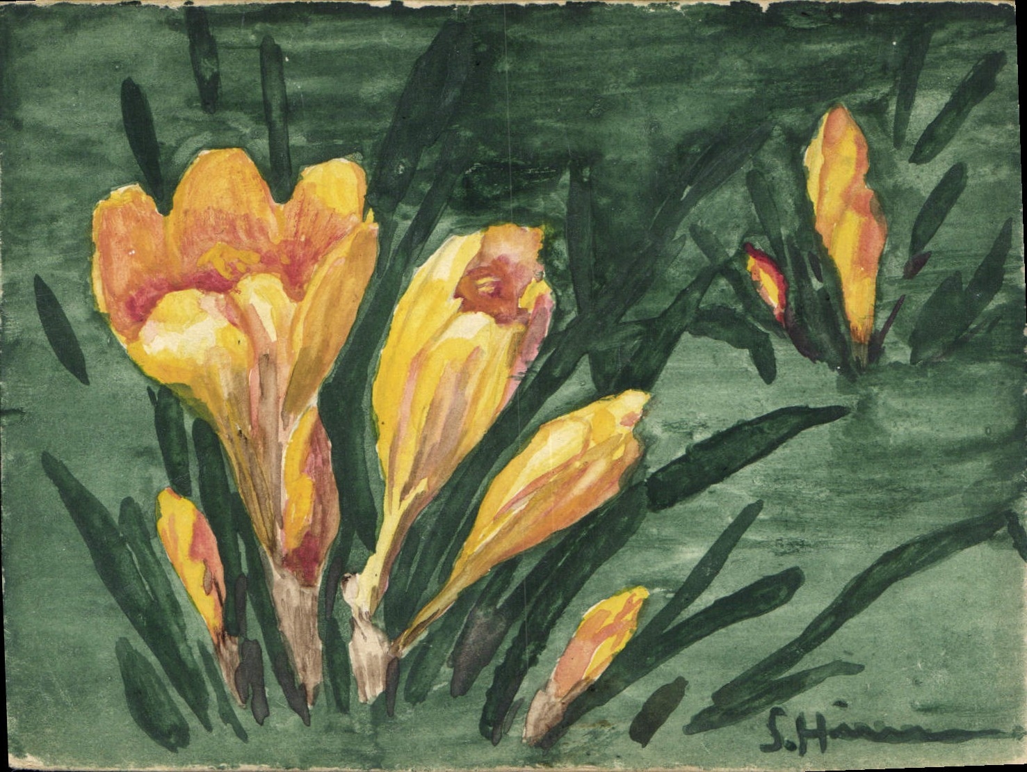 CPA Fantaisie (dessin a la main) Fleurs 