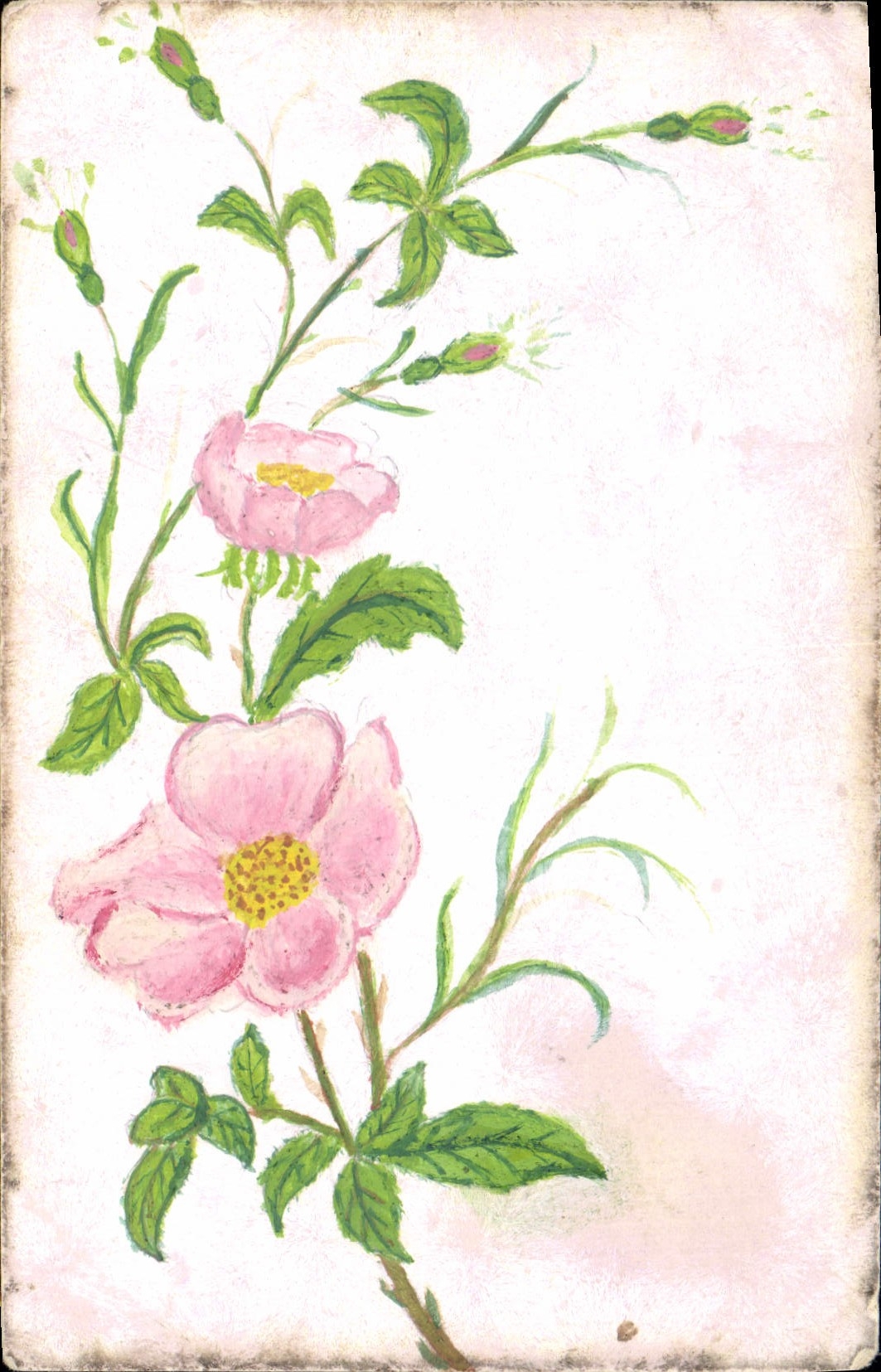 CPA Fantaisie (dessin a la main) Fleurs 