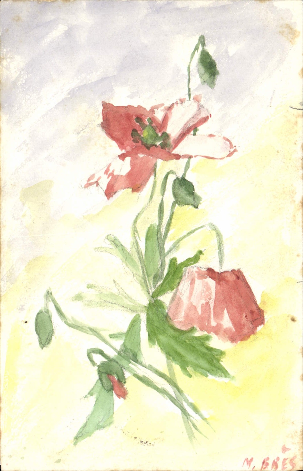 CPA Fantaisie (dessin a la main) Fleurs 