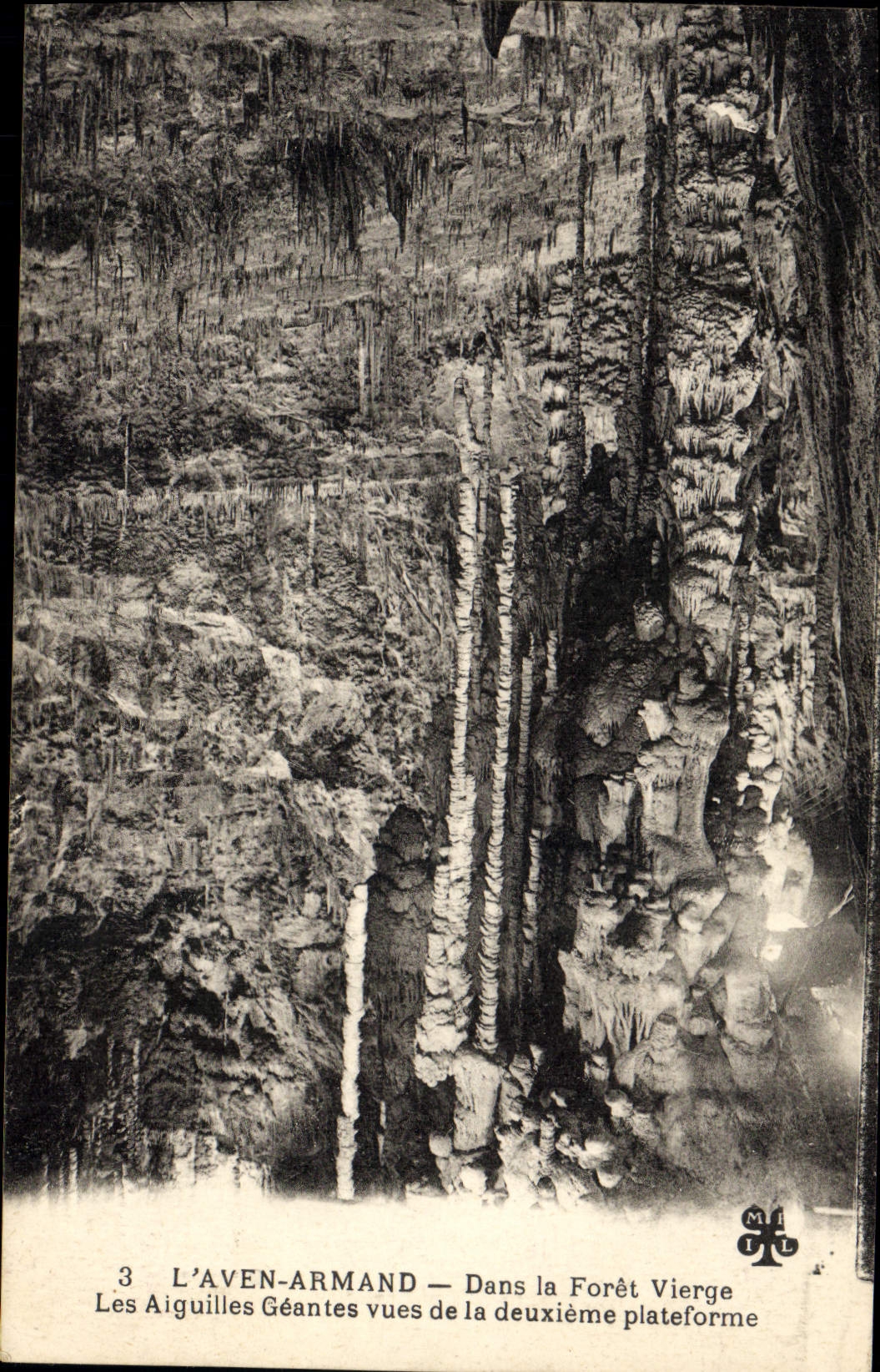 CPA Grotte Grottes L'Aven Armand Dans la foret vierge Les aiguilles geantes vues de la deuxieme plateforme