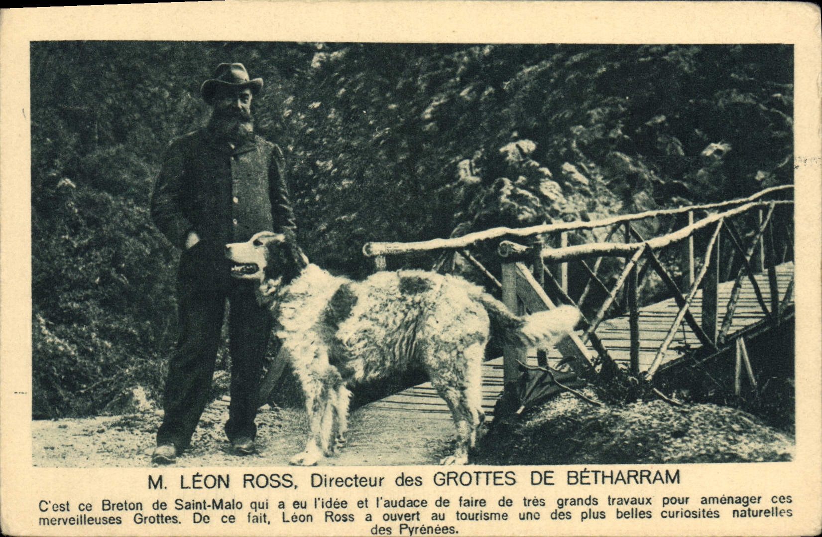 Vintage Postcard Cave Caves Mr. Leon Directing Ross of Grotets de Betharram Dog