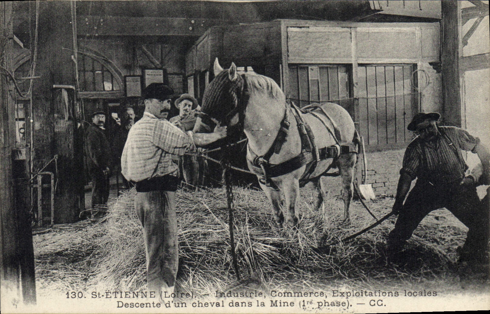 CPA Mine Mines St Etienne Descente d'un cheval dans la mine TOP
