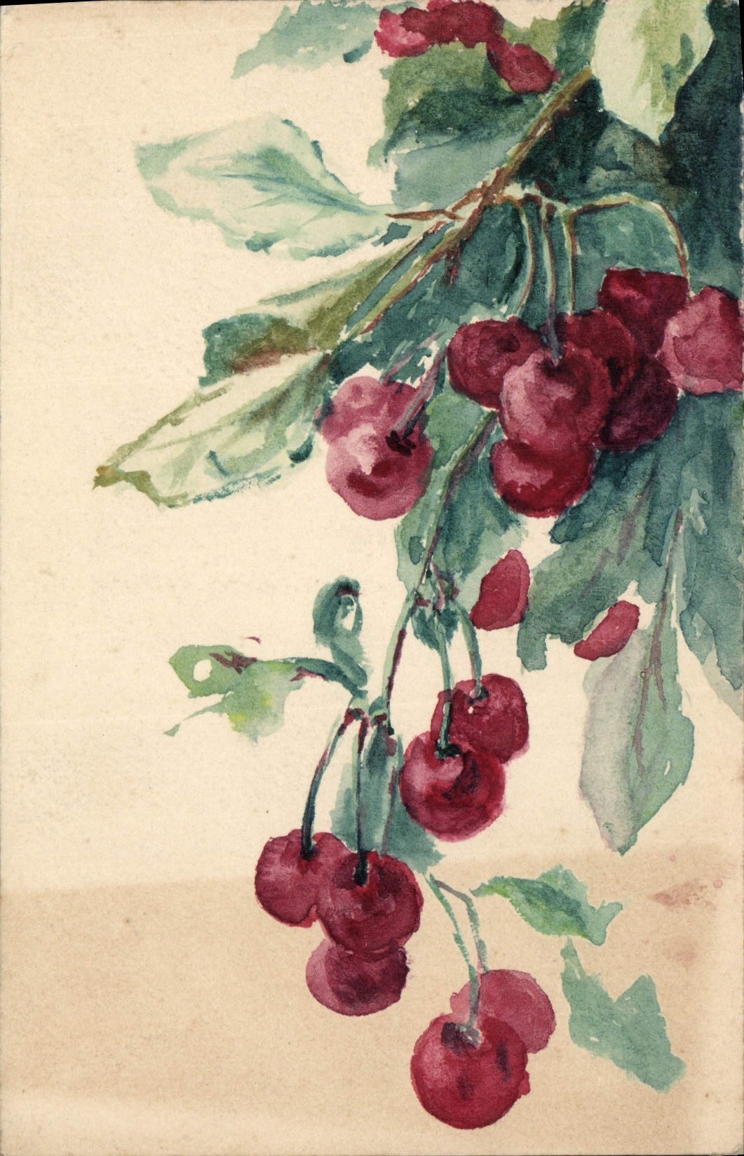 Vintage Postcard Fantasy (drawing has the hand) Fruits