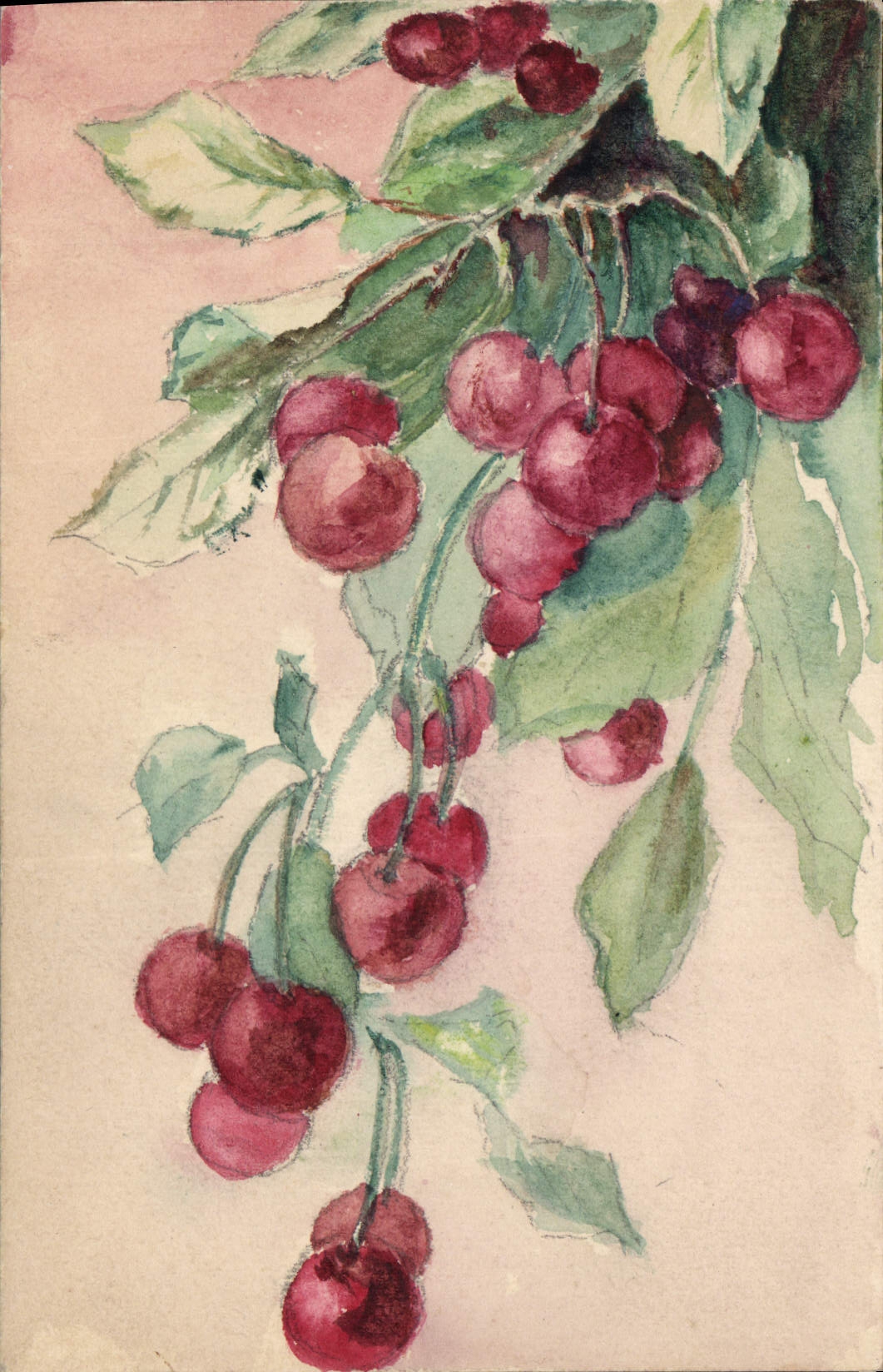 CPA Fantaisie (dessin a la main) Fruits 