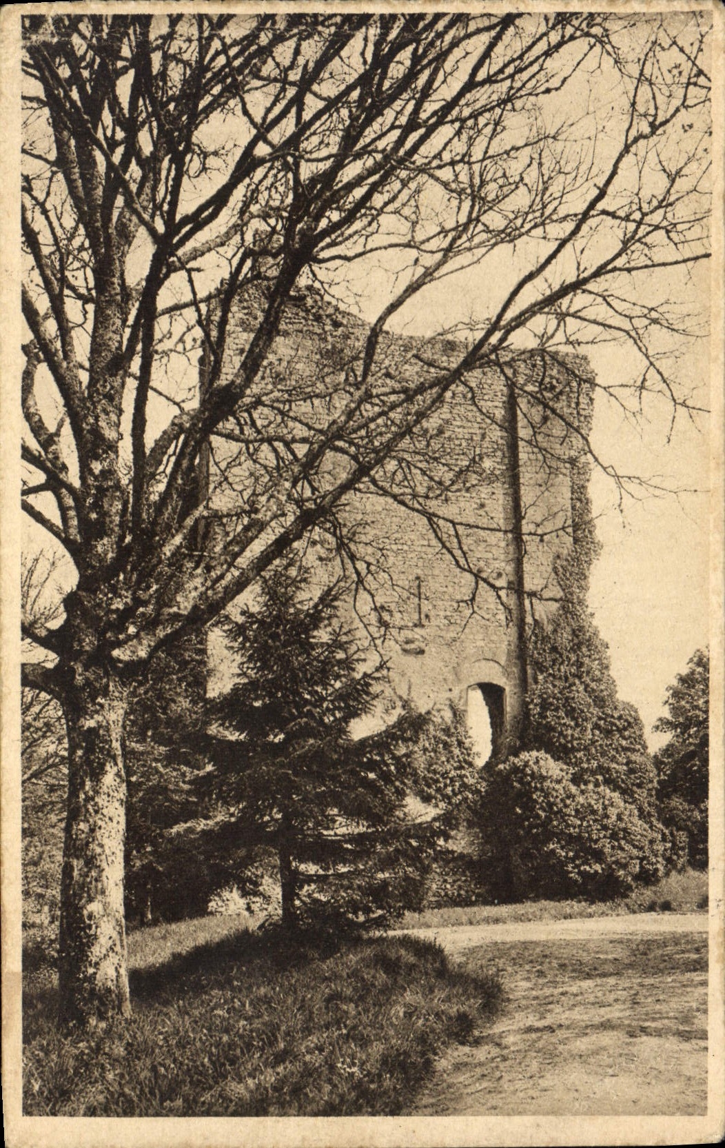 CPA Chateau Domfront Ruines du donjon