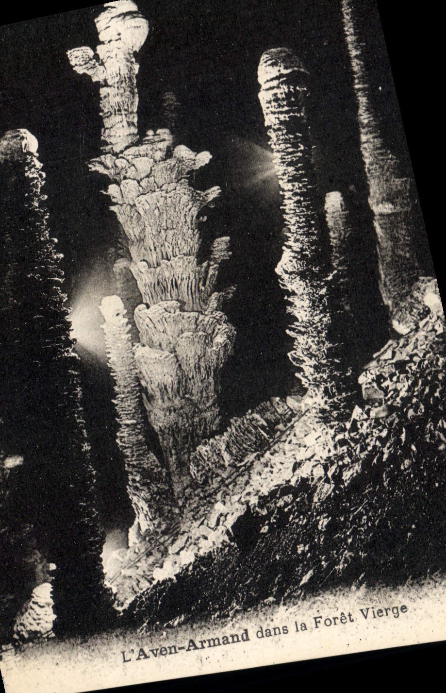 Vintage Postcard Cave Caves the Swallow-hole Armand in the virgin forest