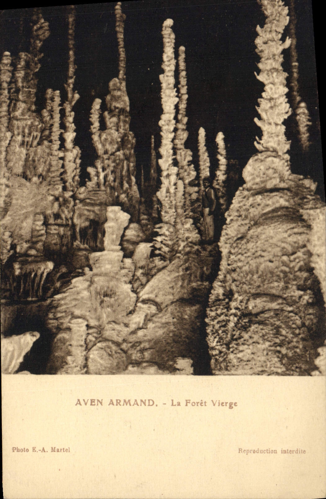 Vintage Postcard Cave Caves the Swallow-hole Armand the Virgin forest