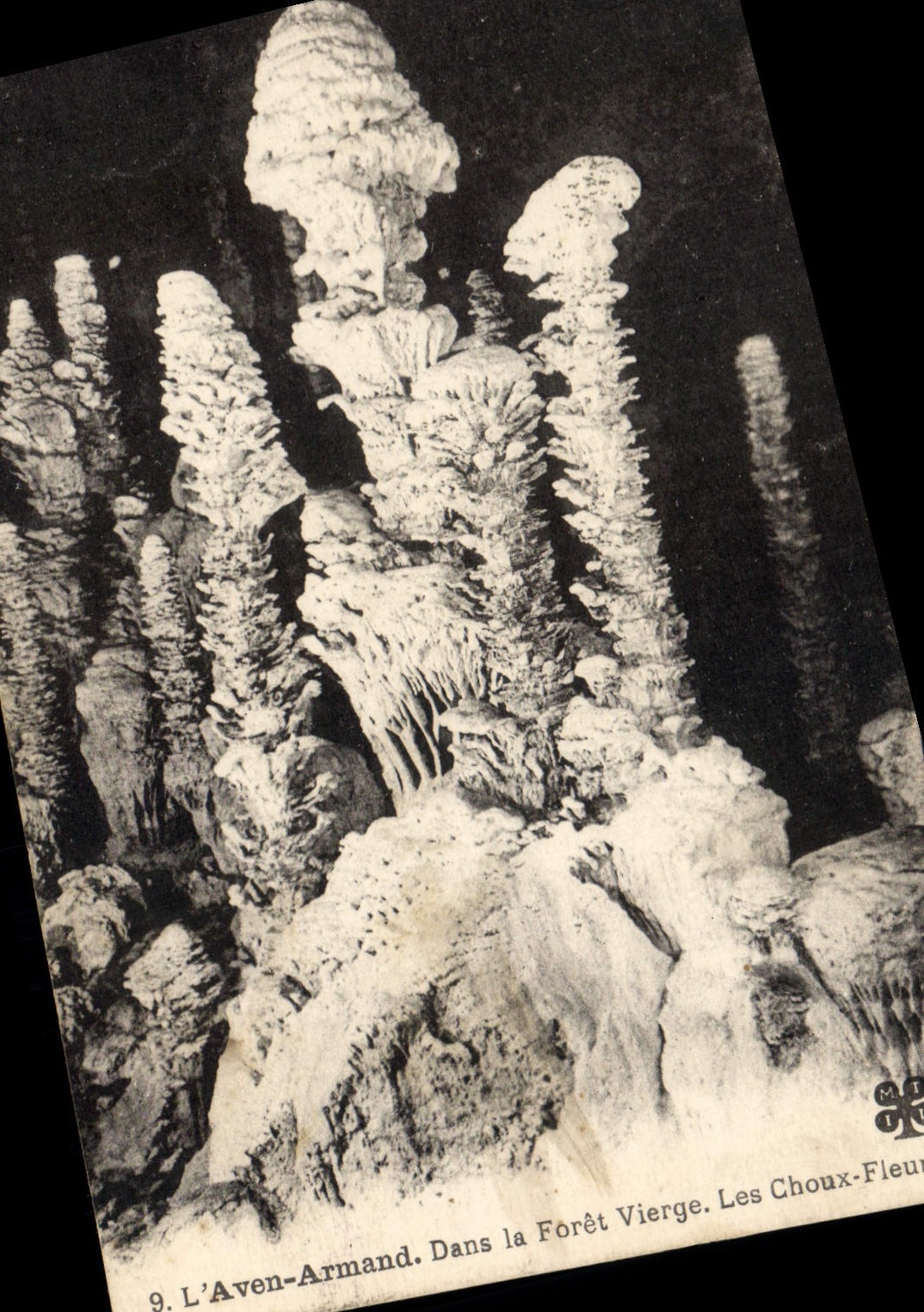 CPA Grotte Grottes L'Aven Armand Dans la foret vierge Les choux fleurs