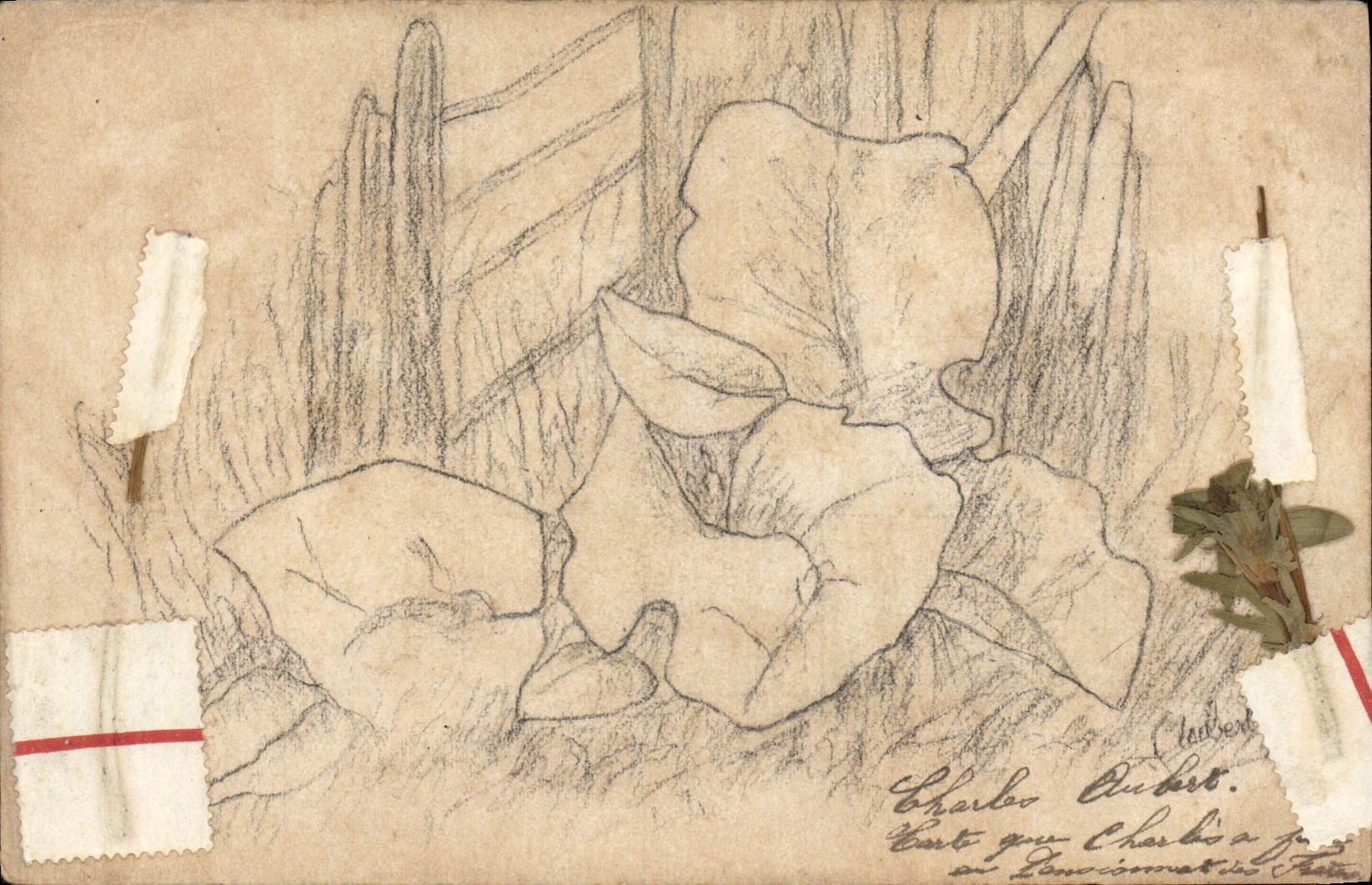 CPA Fantaisie (dessin a la main) Fleurs