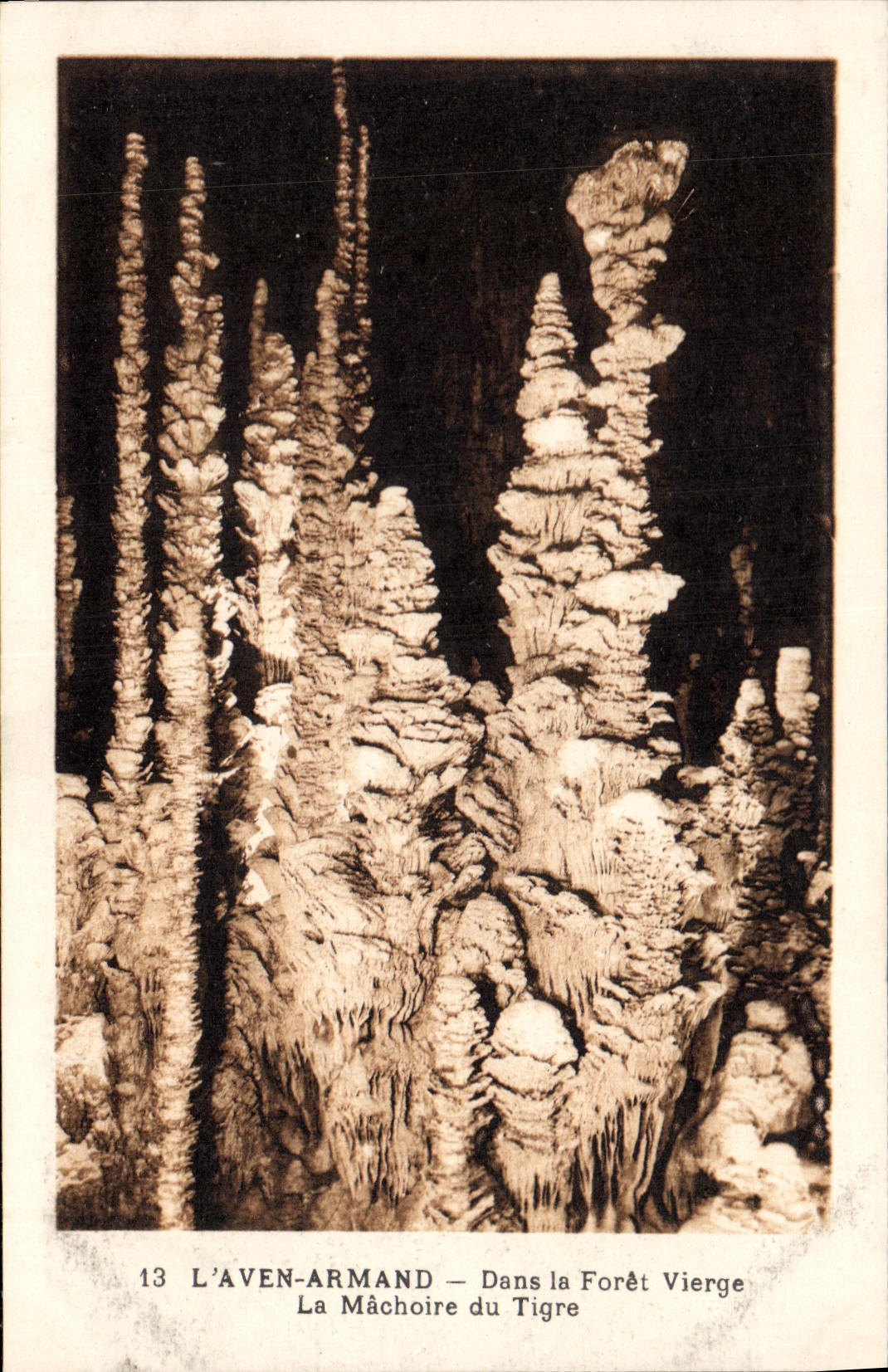 CPA Grotte Grottes L'Aven Armand Dans la foret vierge La machoire du tigre