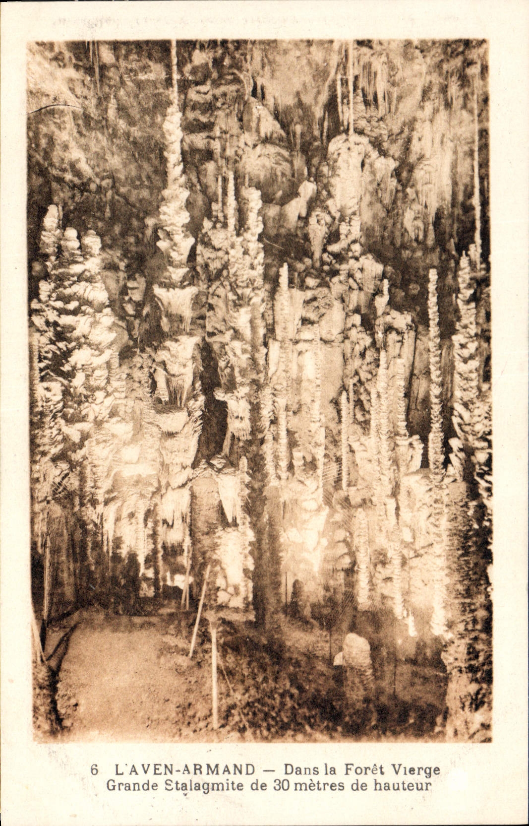 Vintage Postcard Cave Caves the Swallow-hole Armand In the virgin forest Large stalagmite